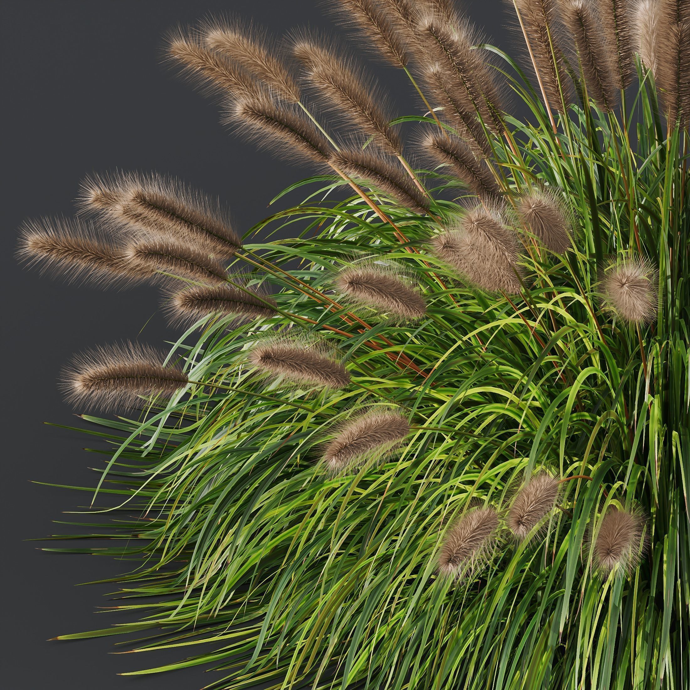 80 Different SETS Of Grass and Bush SET VOL08 3D Model Collection_198