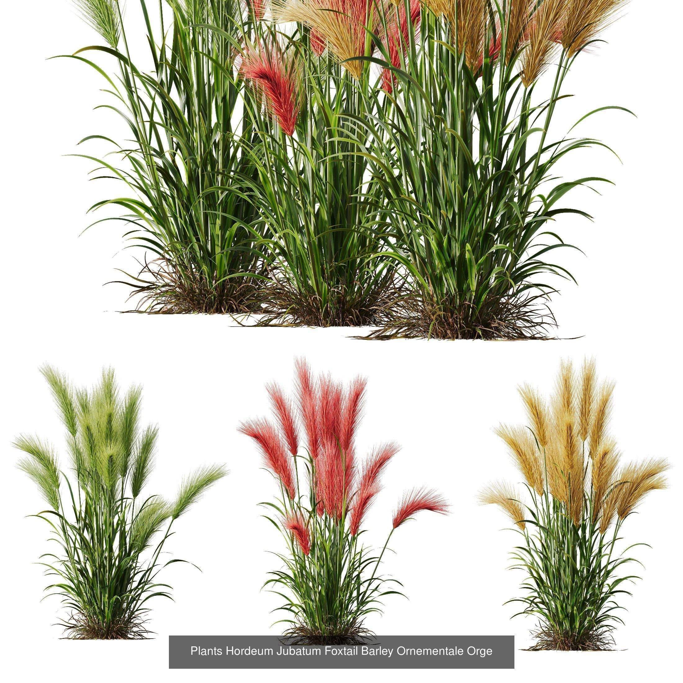 80 Different SETS Of Grass and Bush SET VOL08 3D Model Collection_86