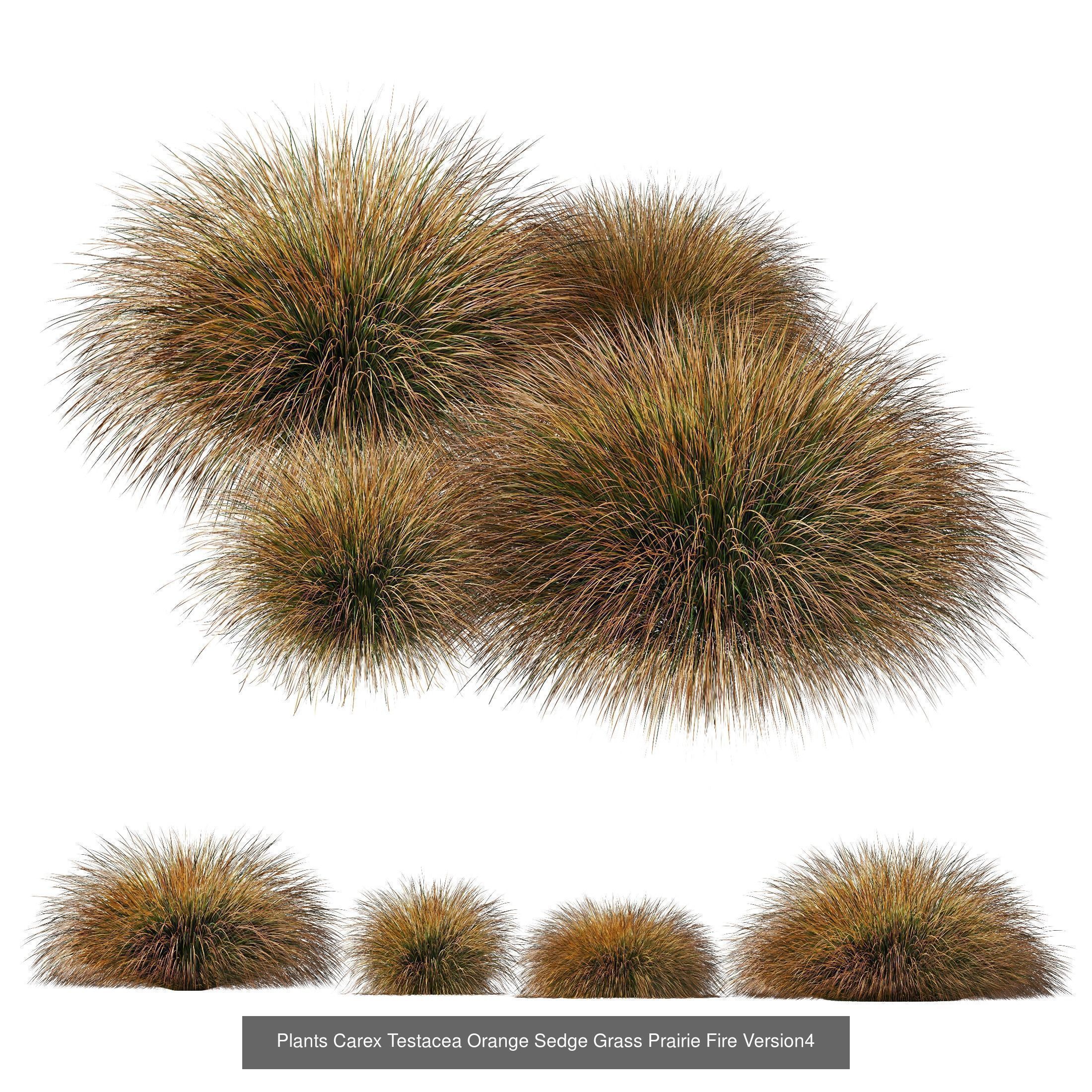 80 Different SETS Of Grass and Bush SET VOL08 3D Model Collection_60