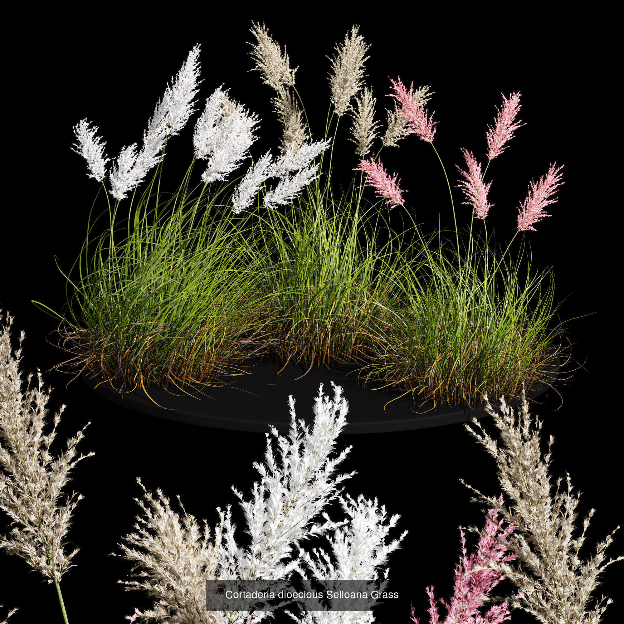 80 Different SETS Of Grass and Bush SET VOL08 3D Model Collection_20
