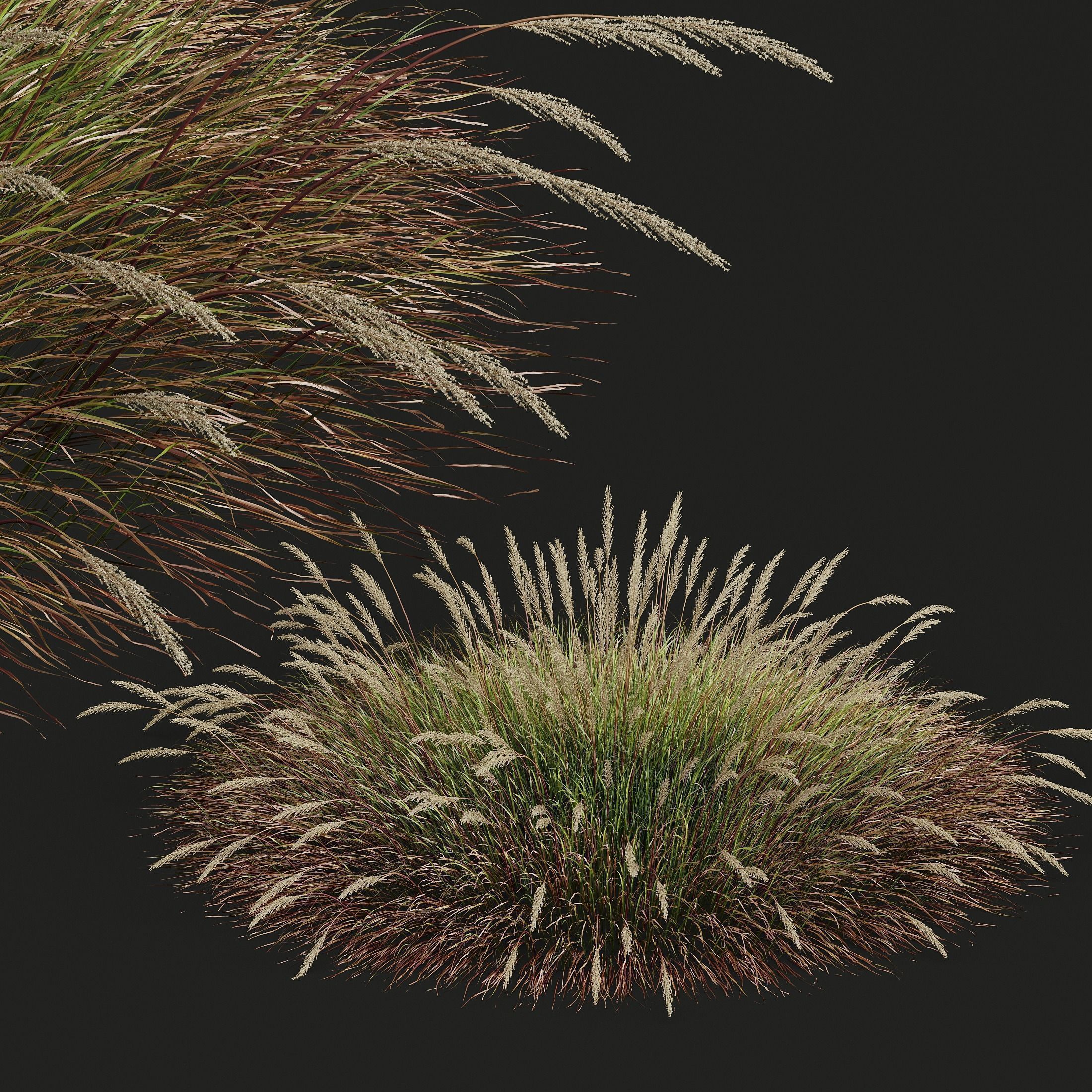 80 Different SETS Of Grass and Bush SET VOL08 3D Model Collection_189