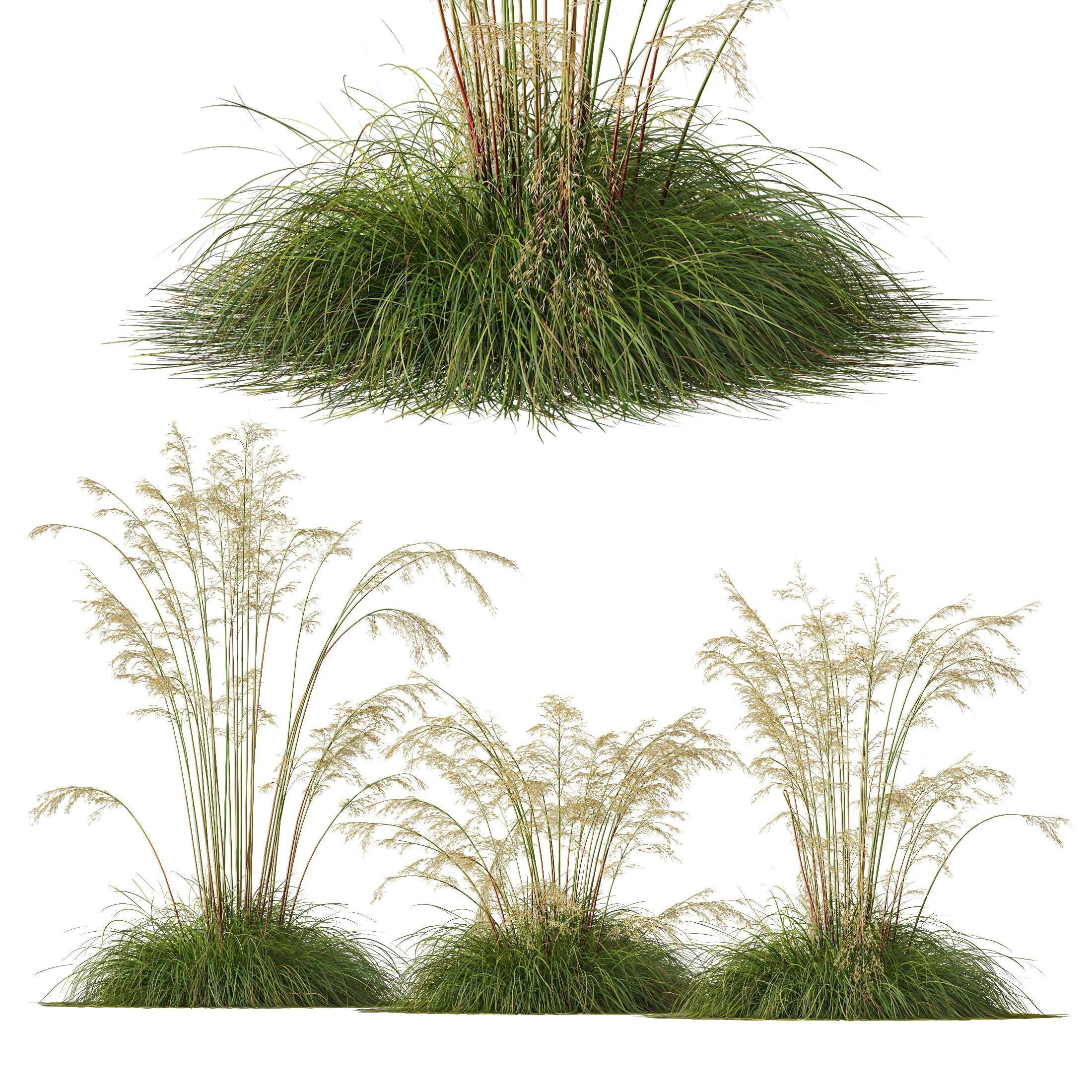 80 Different SETS Of Grass and Bush SET VOL08 3D Model Collection_55