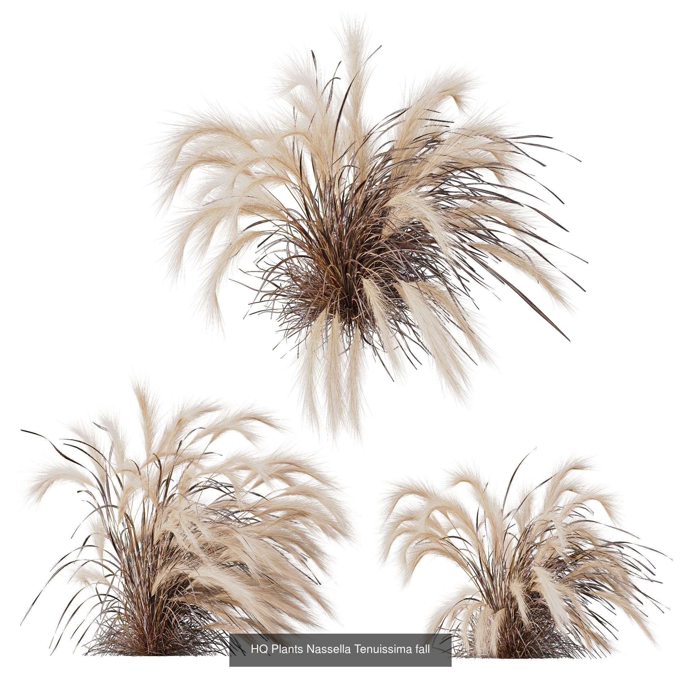 80 Different SETS Of Grass and Bush SET VOL08 3D Model Collection_158