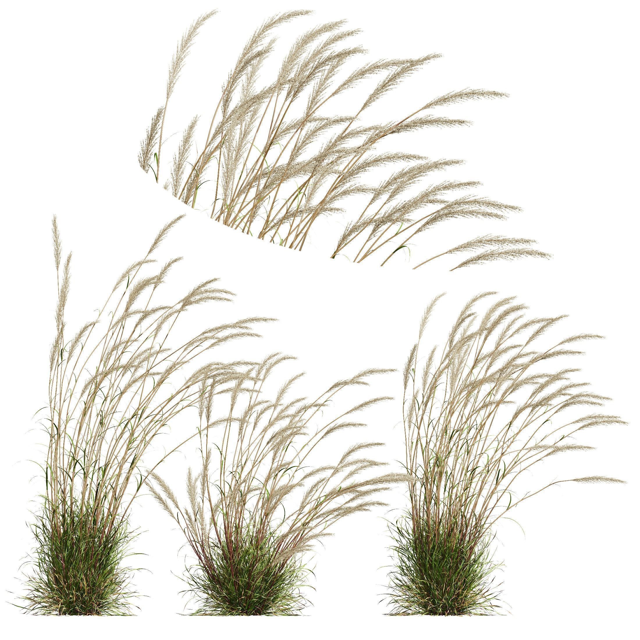 80 Different SETS Of Grass and Bush SET VOL08 3D Model Collection_35