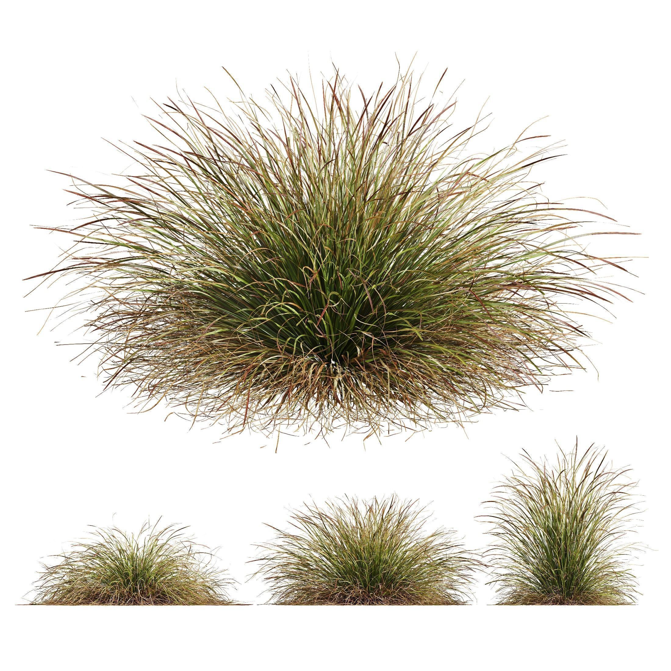 80 Different SETS Of Grass and Bush SET VOL08 3D Model Collection_45