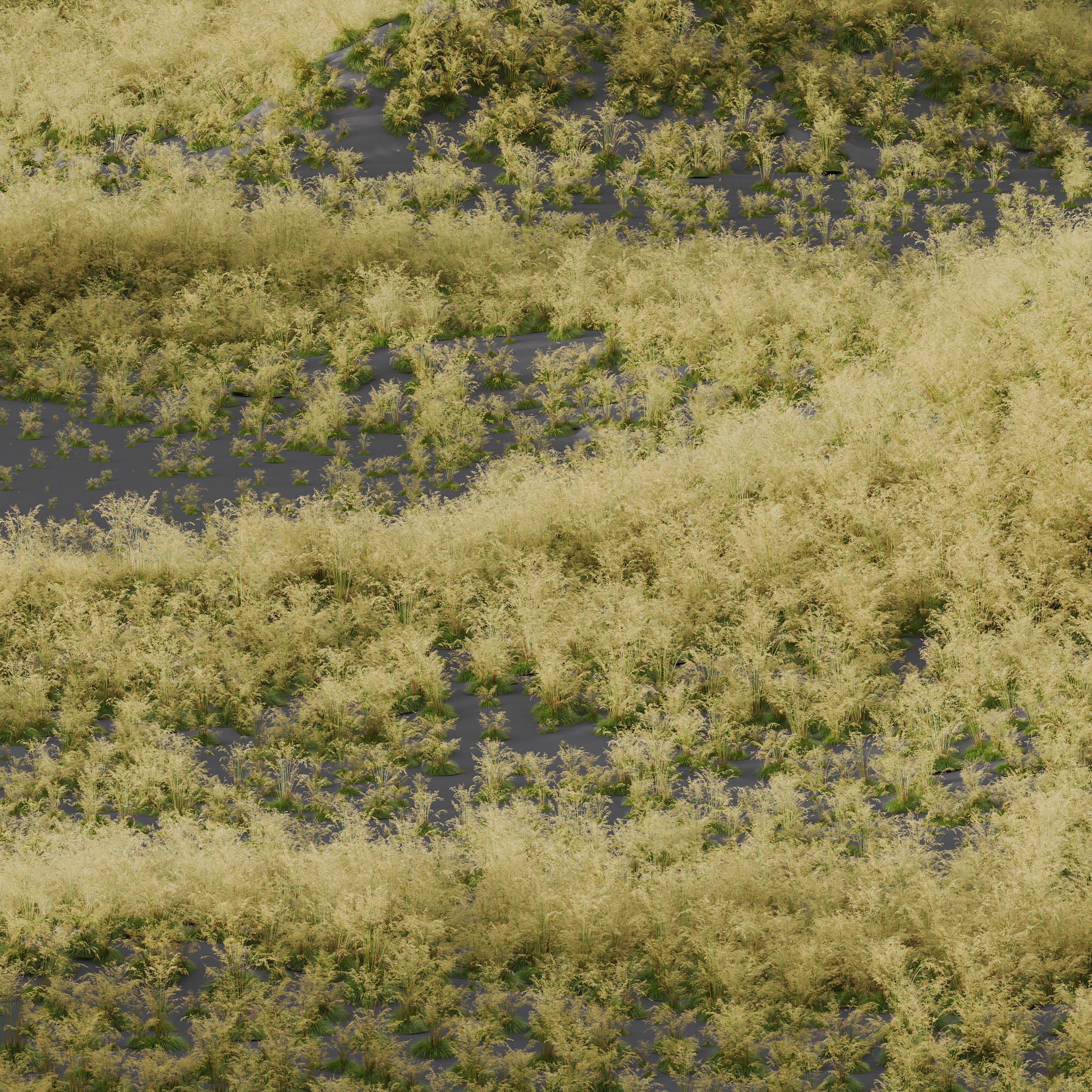 80 Different SETS Of Grass and Bush SET VOL08 3D Model Collection_259