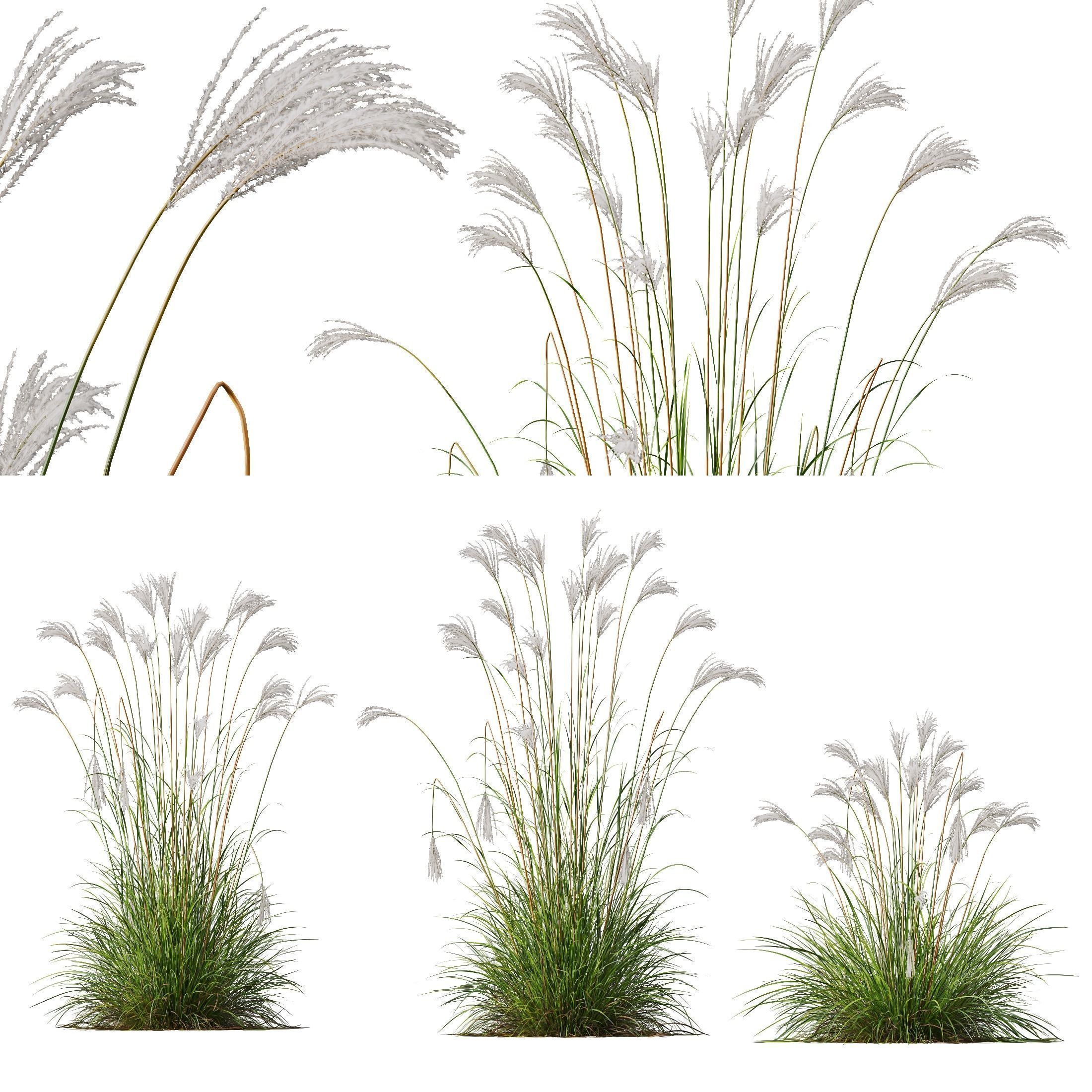 80 Different SETS Of Grass and Bush SET VOL08 3D Model Collection_105