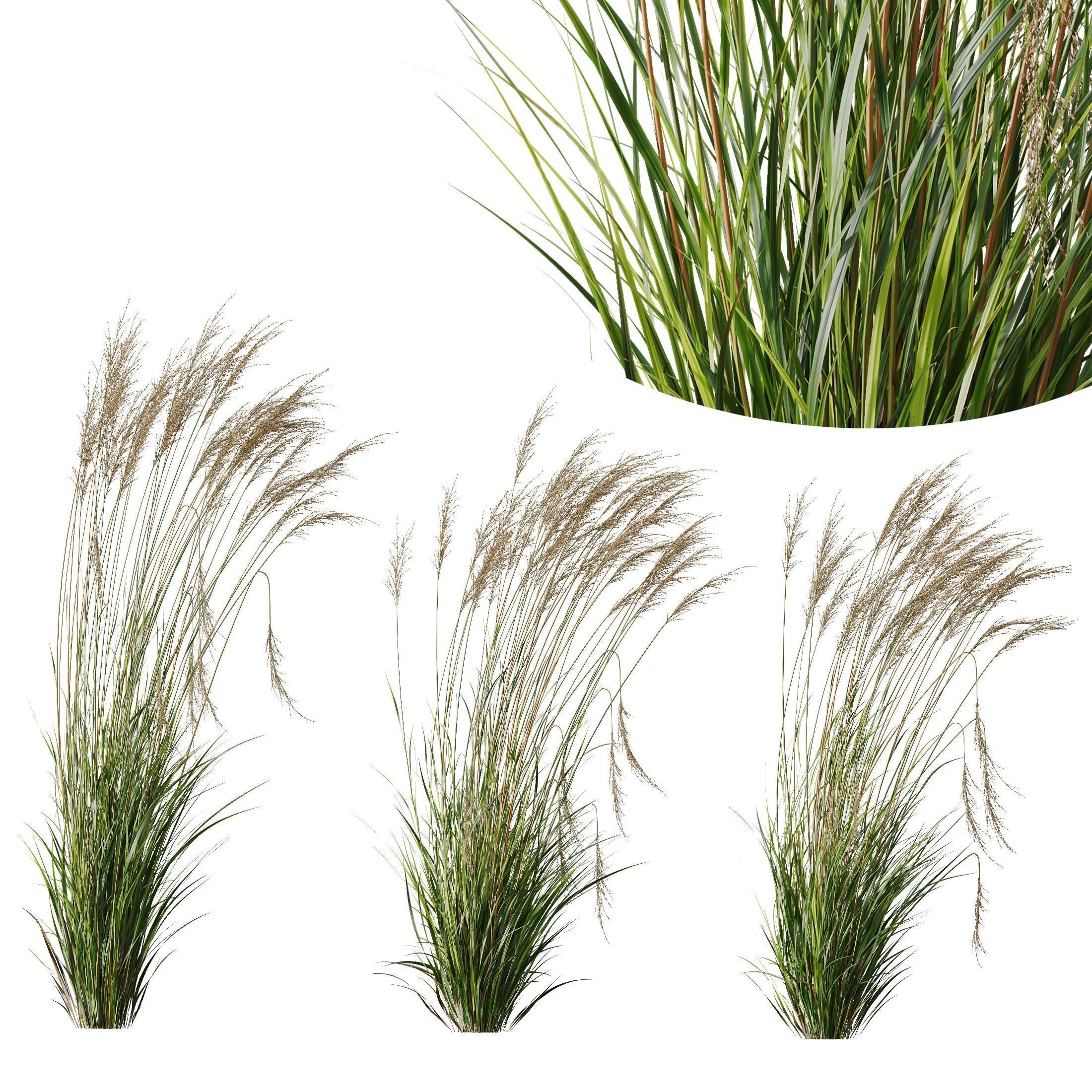 80 Different SETS Of Grass and Bush SET VOL08 3D Model Collection_25