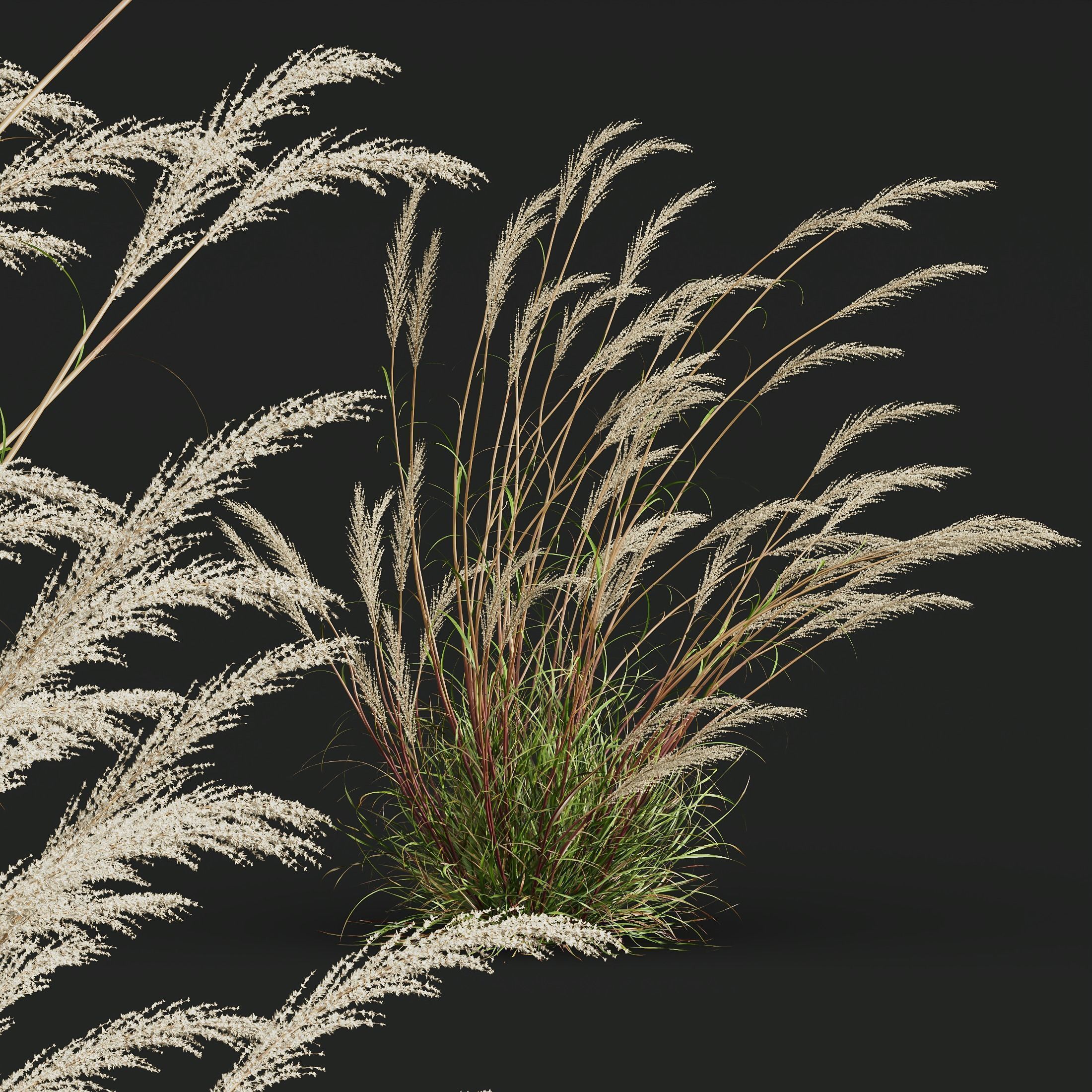 80 Different SETS Of Grass and Bush SET VOL08 3D Model Collection_196
