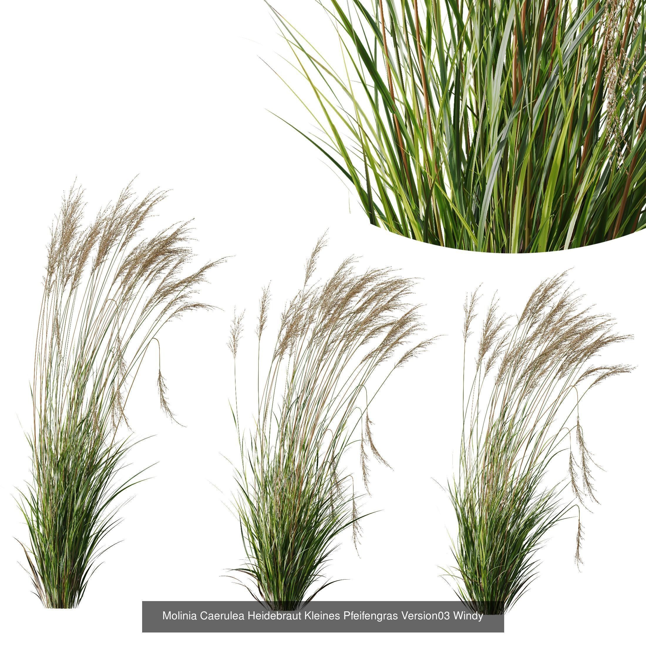 80 Different SETS Of Grass and Bush SET VOL08 3D Model Collection_114