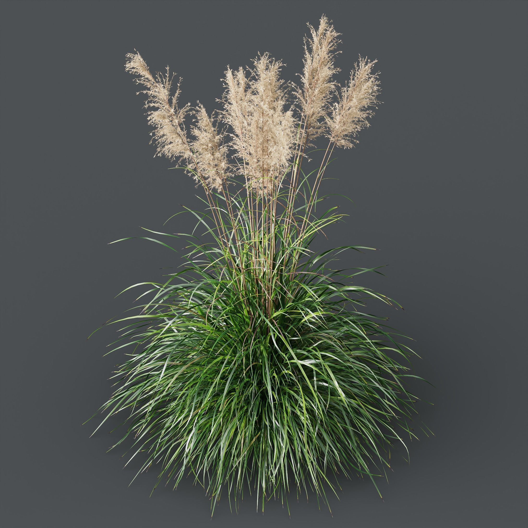 80 Different SETS Of Grass and Bush SET VOL08 3D Model Collection_221