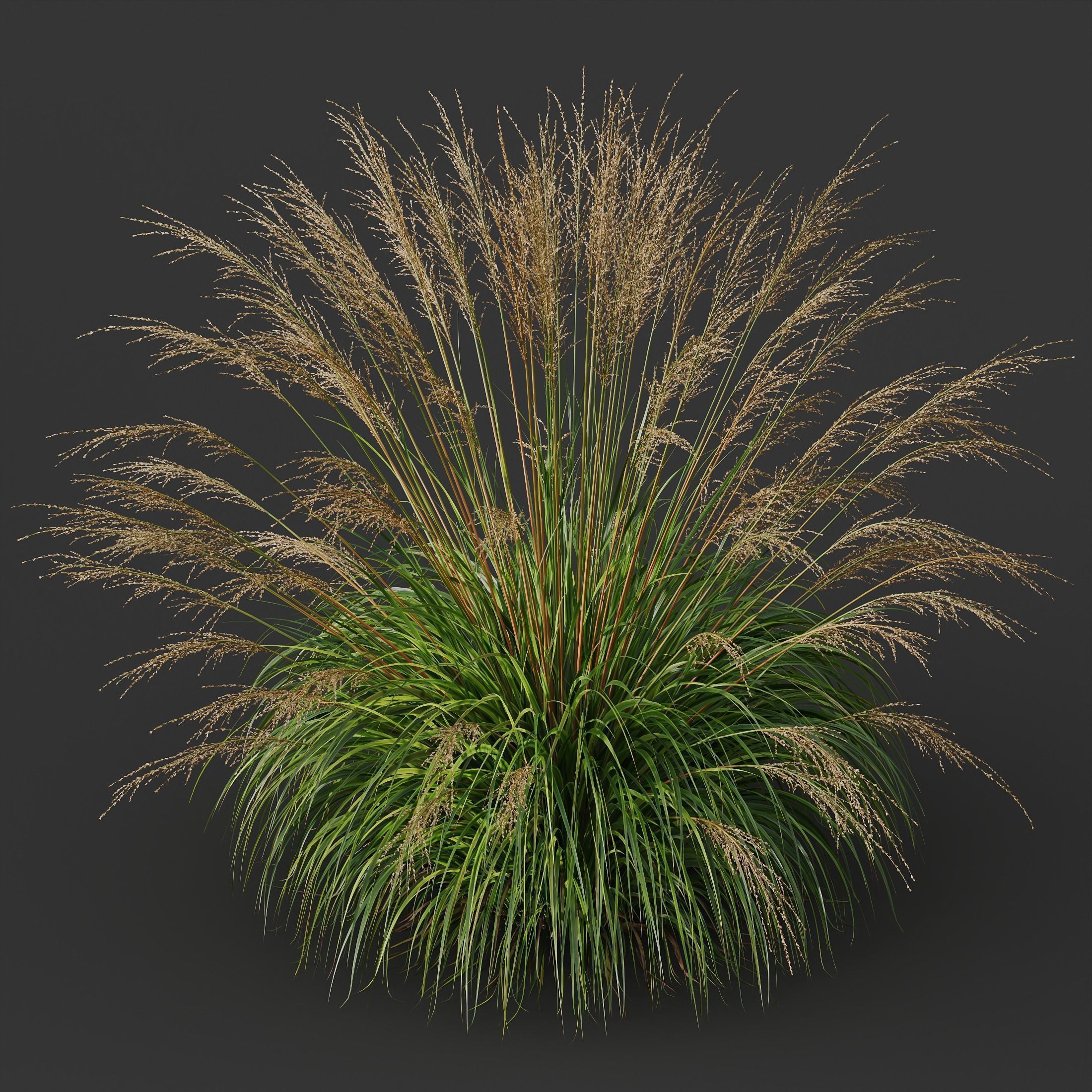 80 Different SETS Of Grass and Bush SET VOL08 3D Model Collection_228