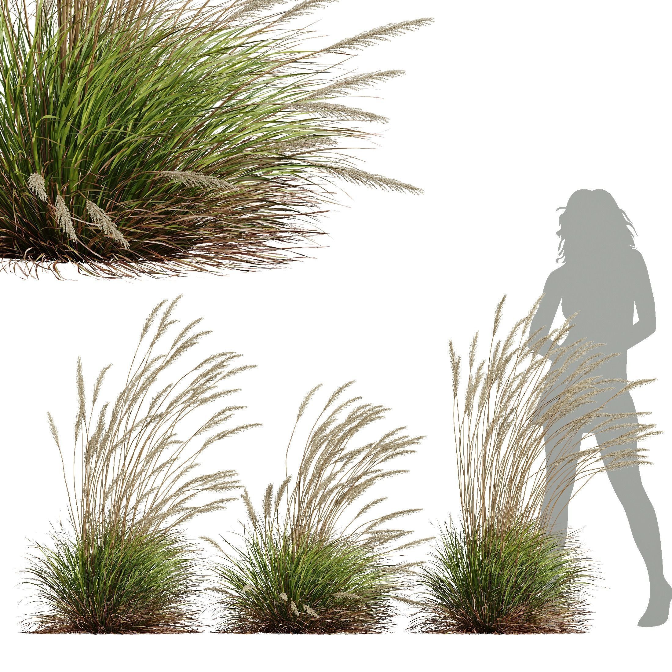 80 Different SETS Of Grass and Bush SET VOL08 3D Model Collection_67