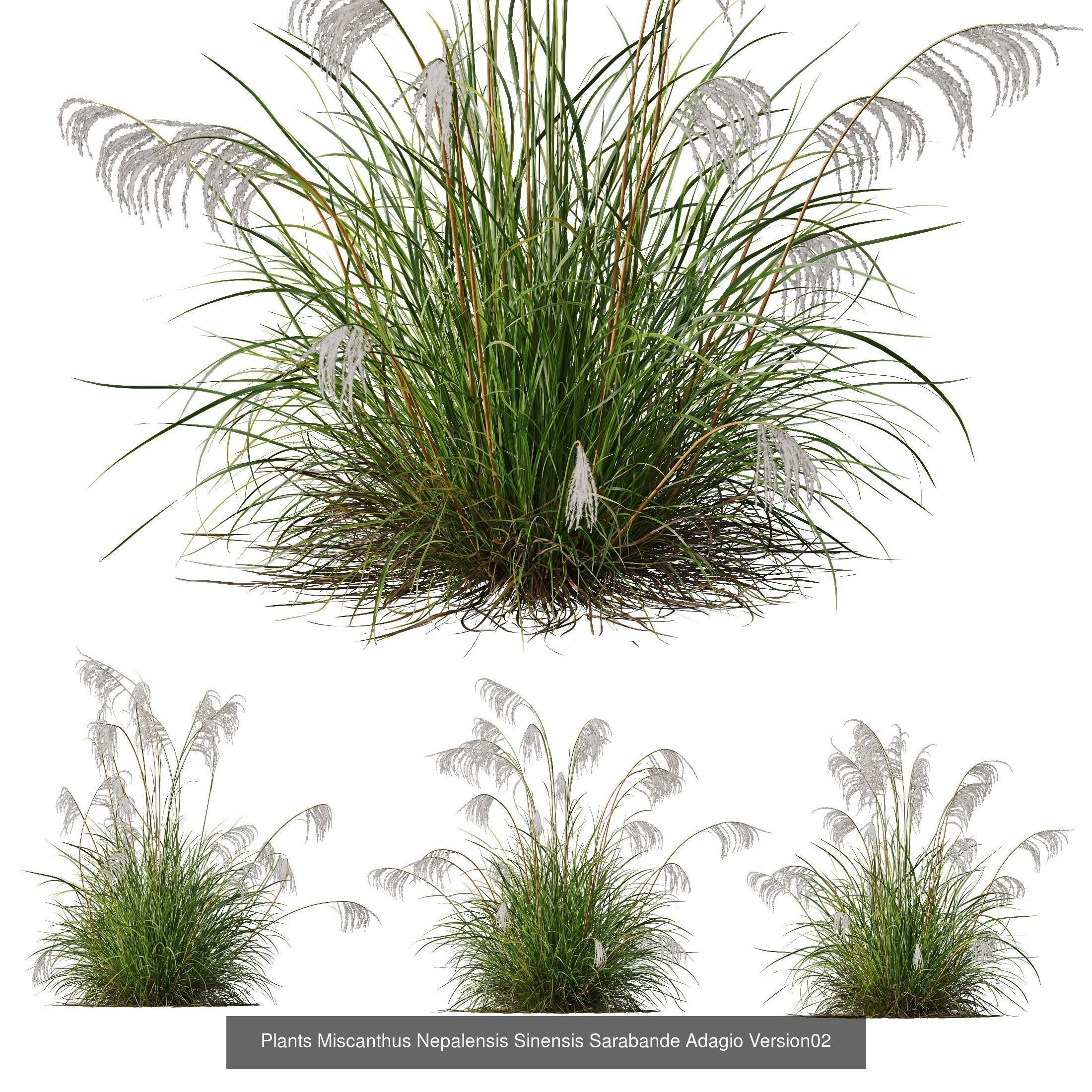 80 Different SETS Of Grass and Bush SET VOL08 3D Model Collection_106