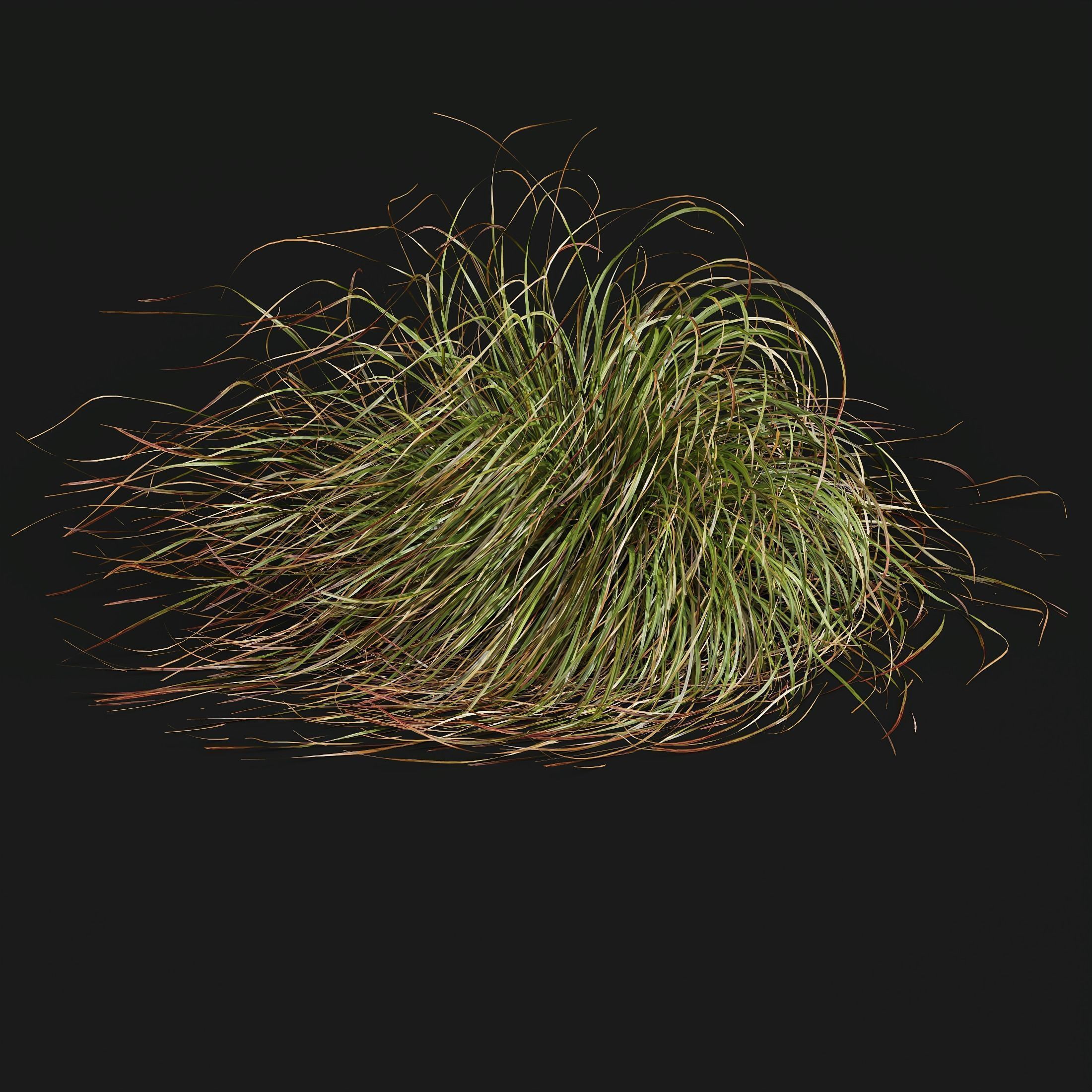 80 Different SETS Of Grass and Bush SET VOL08 3D Model Collection_169