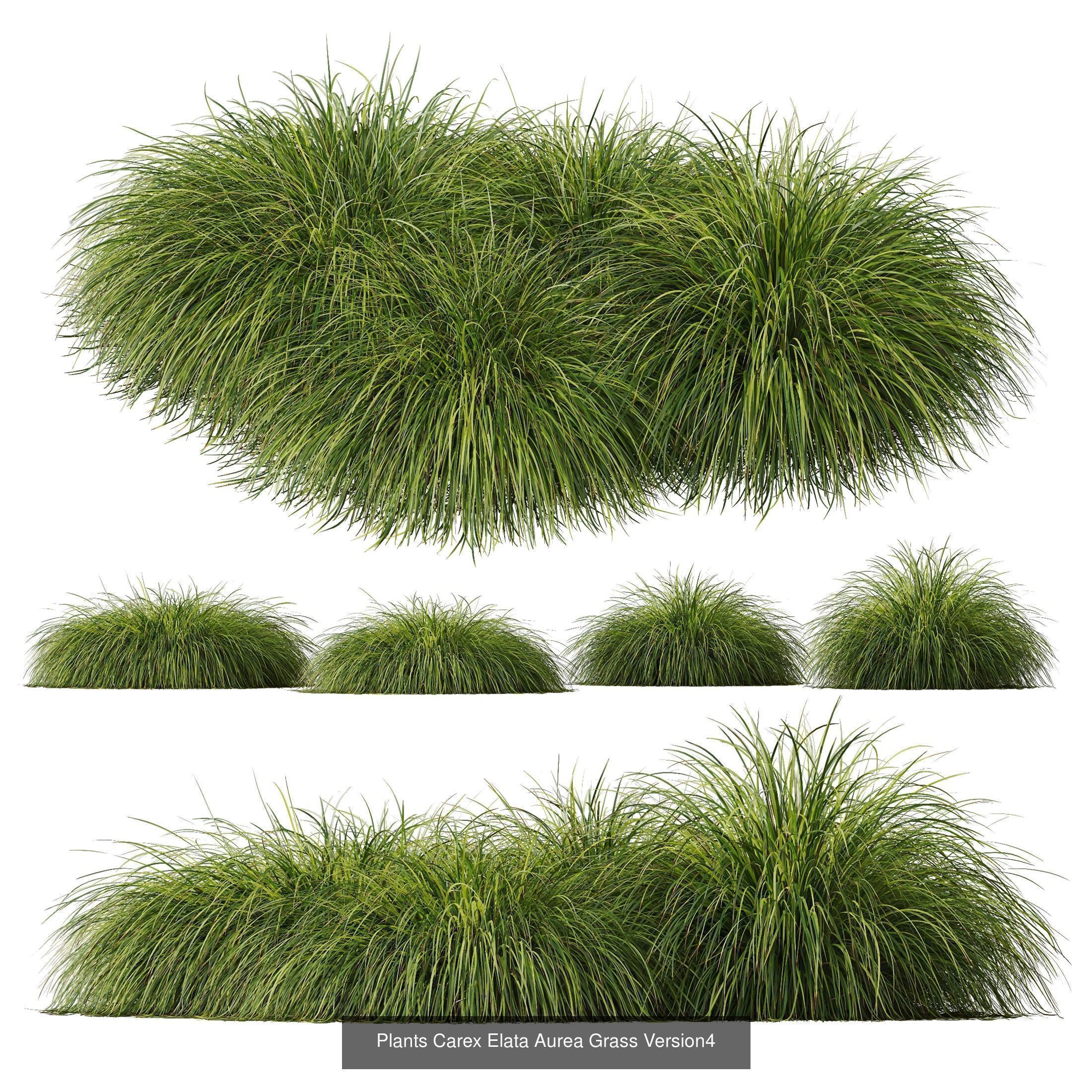 80 Different SETS Of Grass and Bush SET VOL08 3D Model Collection_52