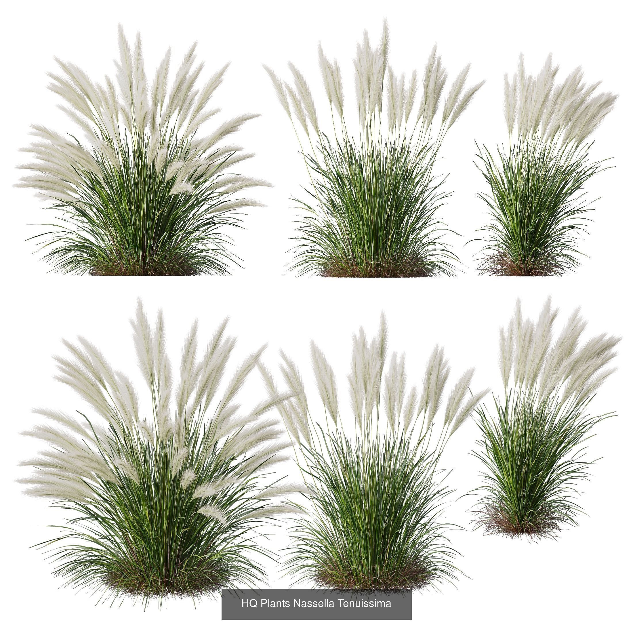 80 Different SETS Of Grass and Bush SET VOL08 3D Model Collection_154