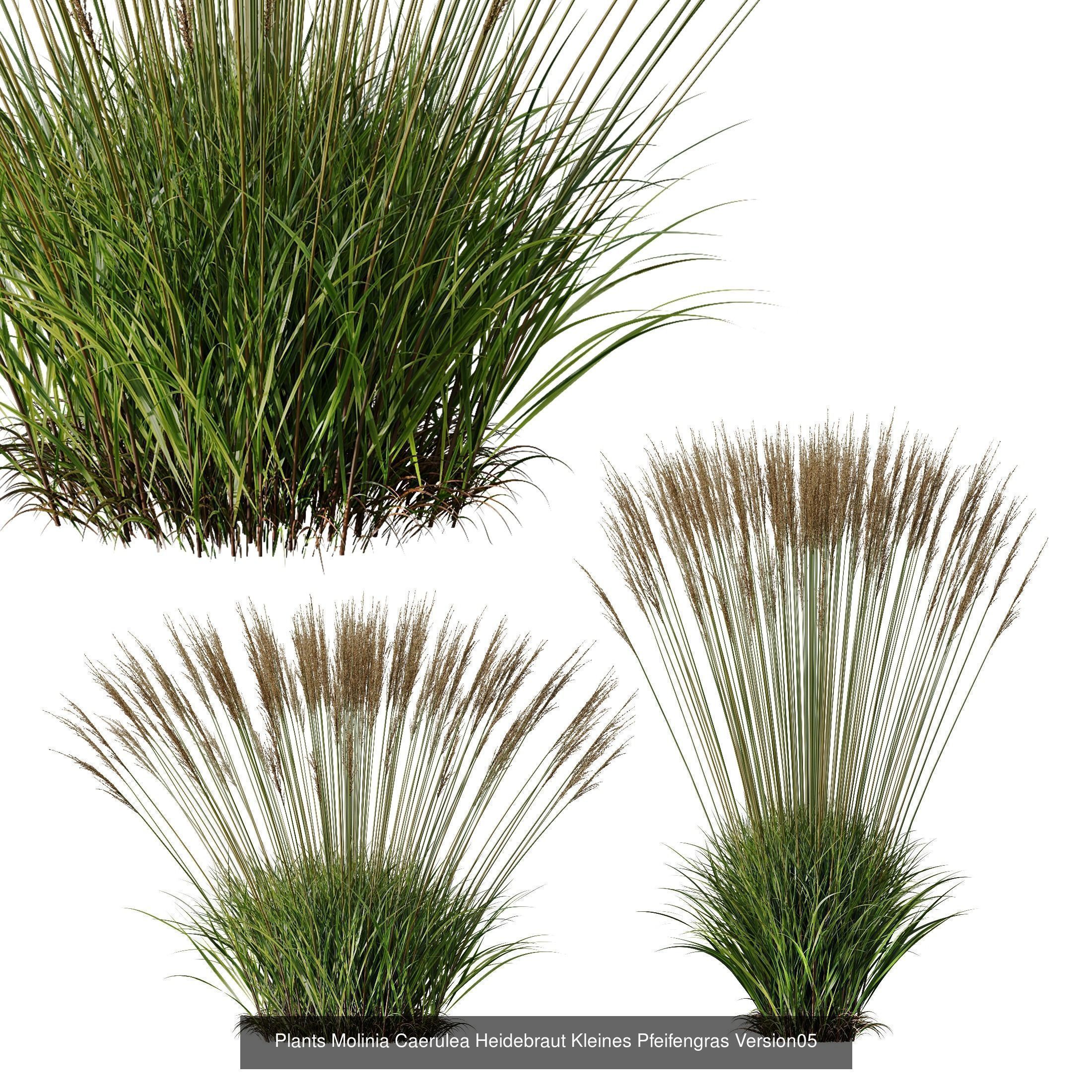 80 Different SETS Of Grass and Bush SET VOL08 3D Model Collection_126