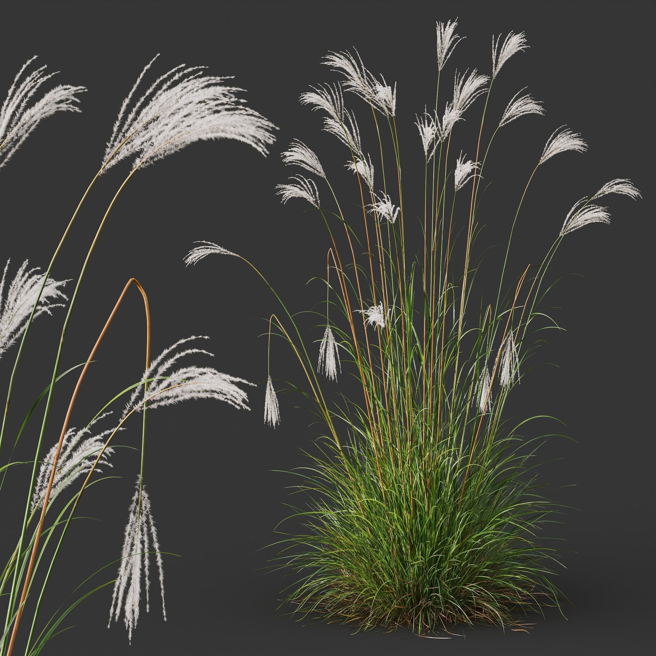 80 Different SETS Of Grass and Bush SET VOL08 3D Model Collection_214