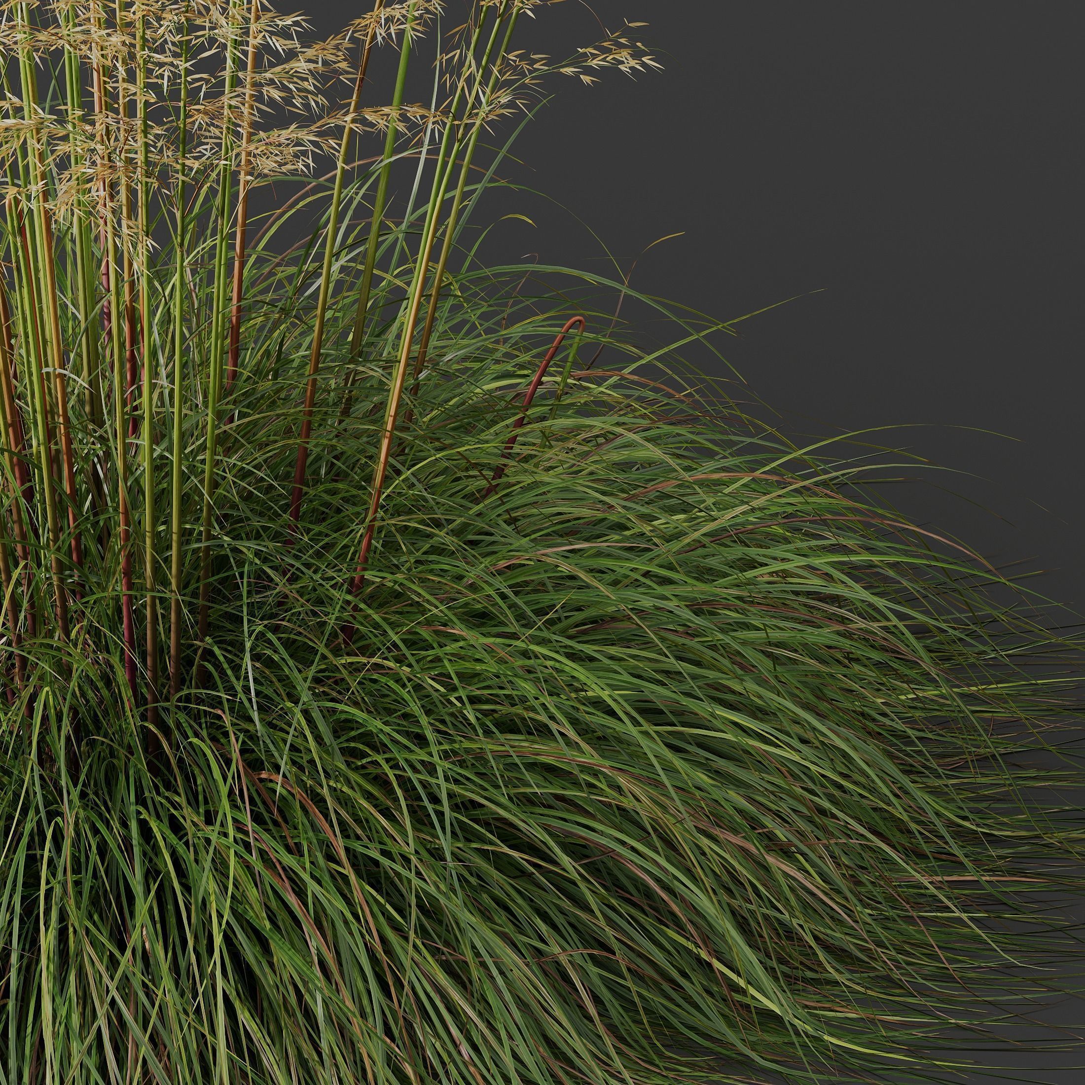 80 Different SETS Of Grass and Bush SET VOL08 3D Model Collection_244