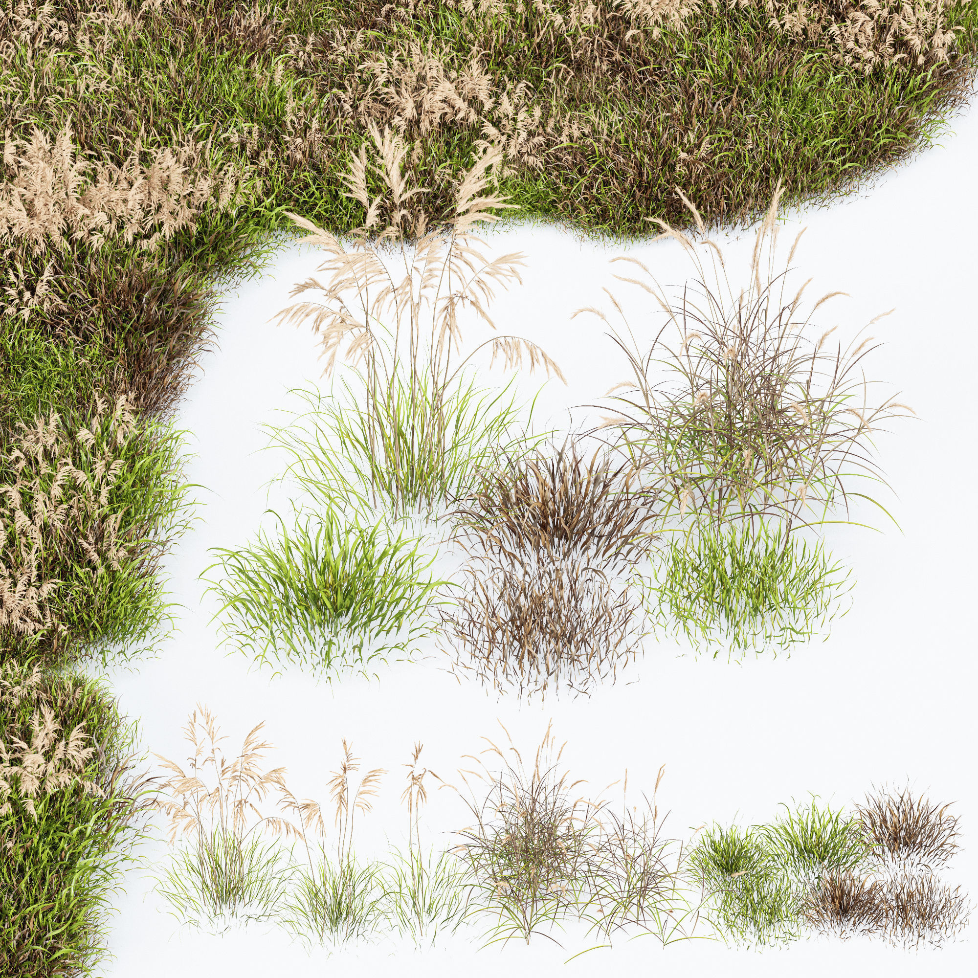 80 Different SETS Of Grass and Bush SET VOL08 3D Model Collection_99