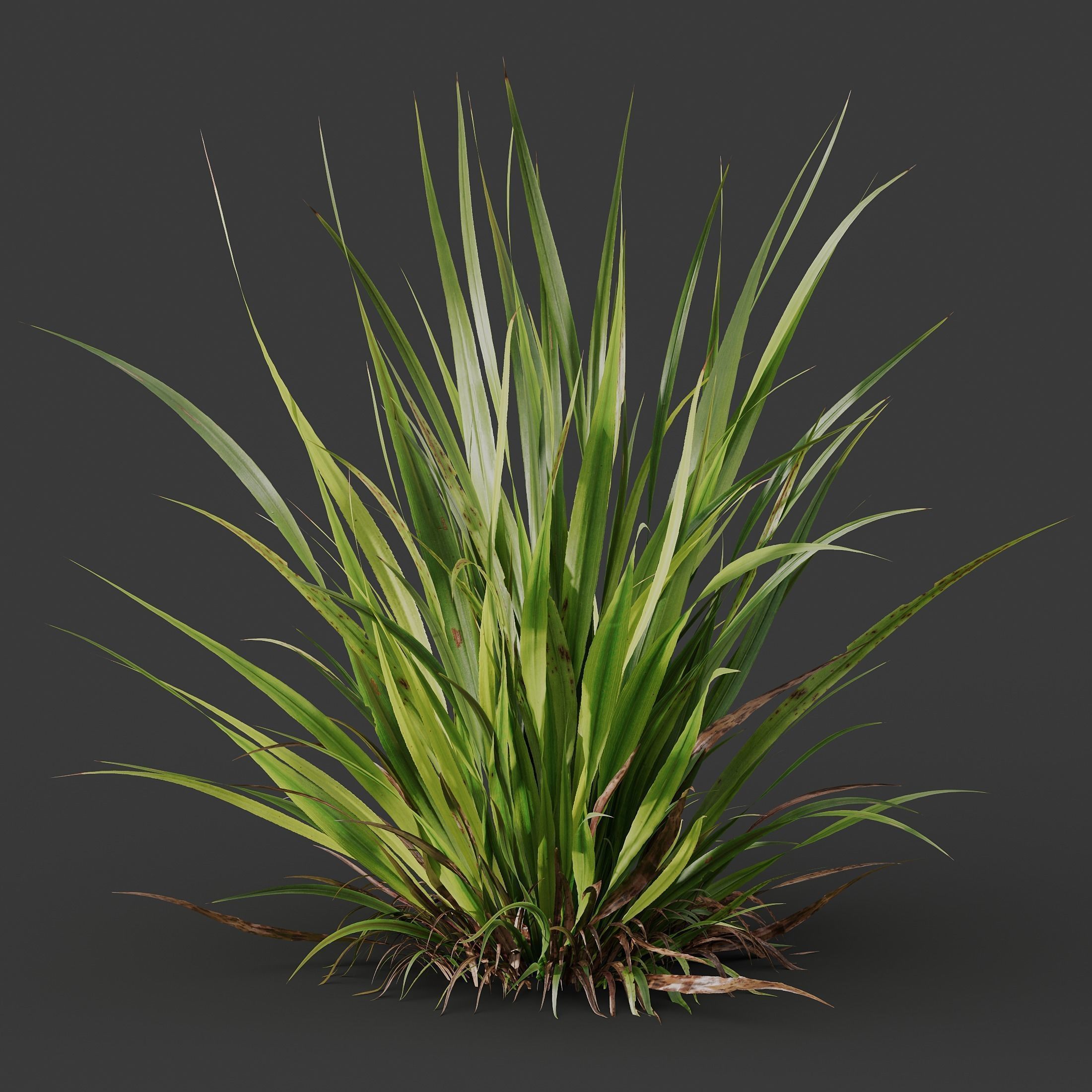 80 Different SETS Of Grass and Bush SET VOL08 3D Model Collection_201