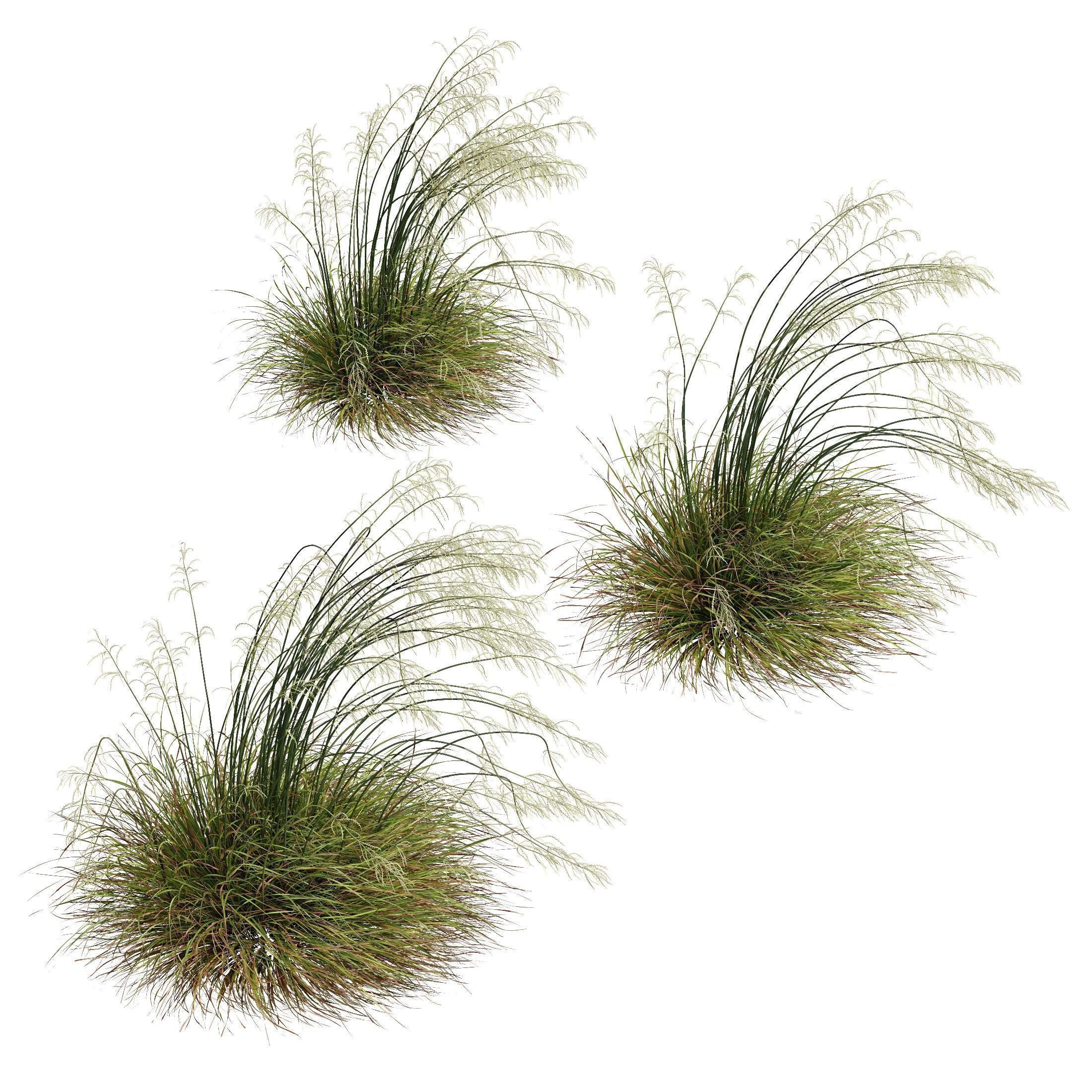 80 Different SETS Of Grass and Bush SET VOL08 3D Model Collection_8