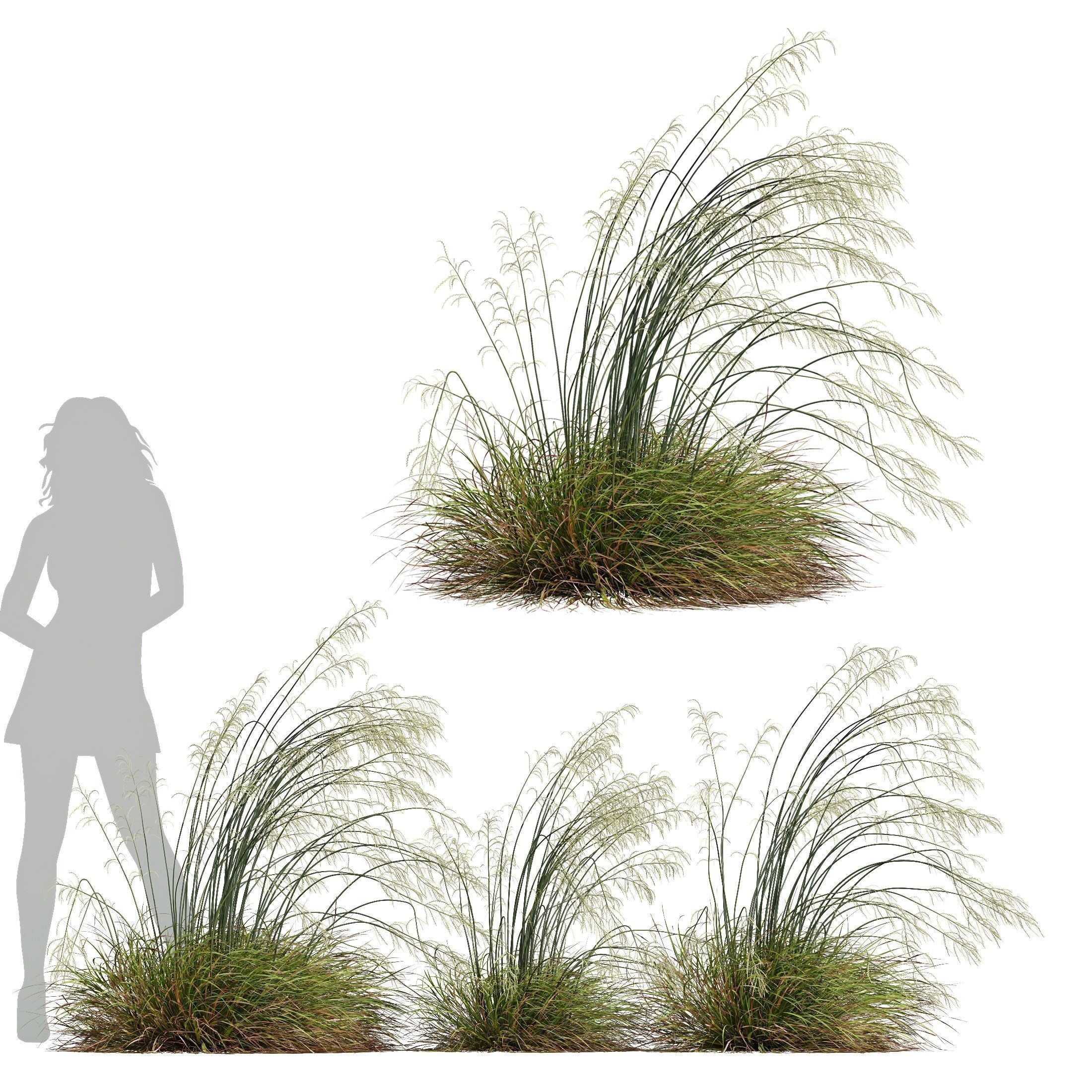 80 Different SETS Of Grass and Bush SET VOL08 3D Model Collection_17