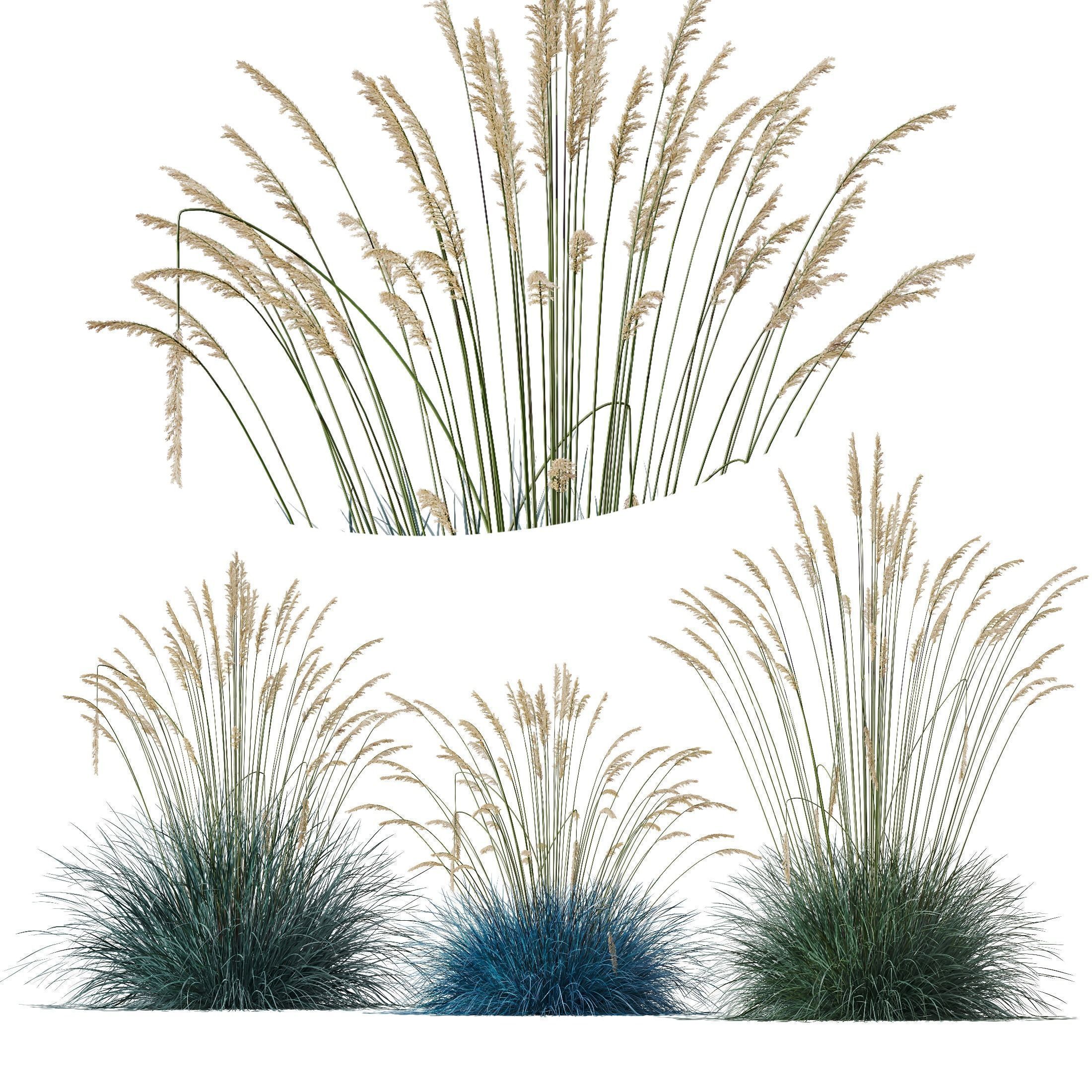 80 Different SETS Of Grass and Bush SET VOL08 3D Model Collection_29