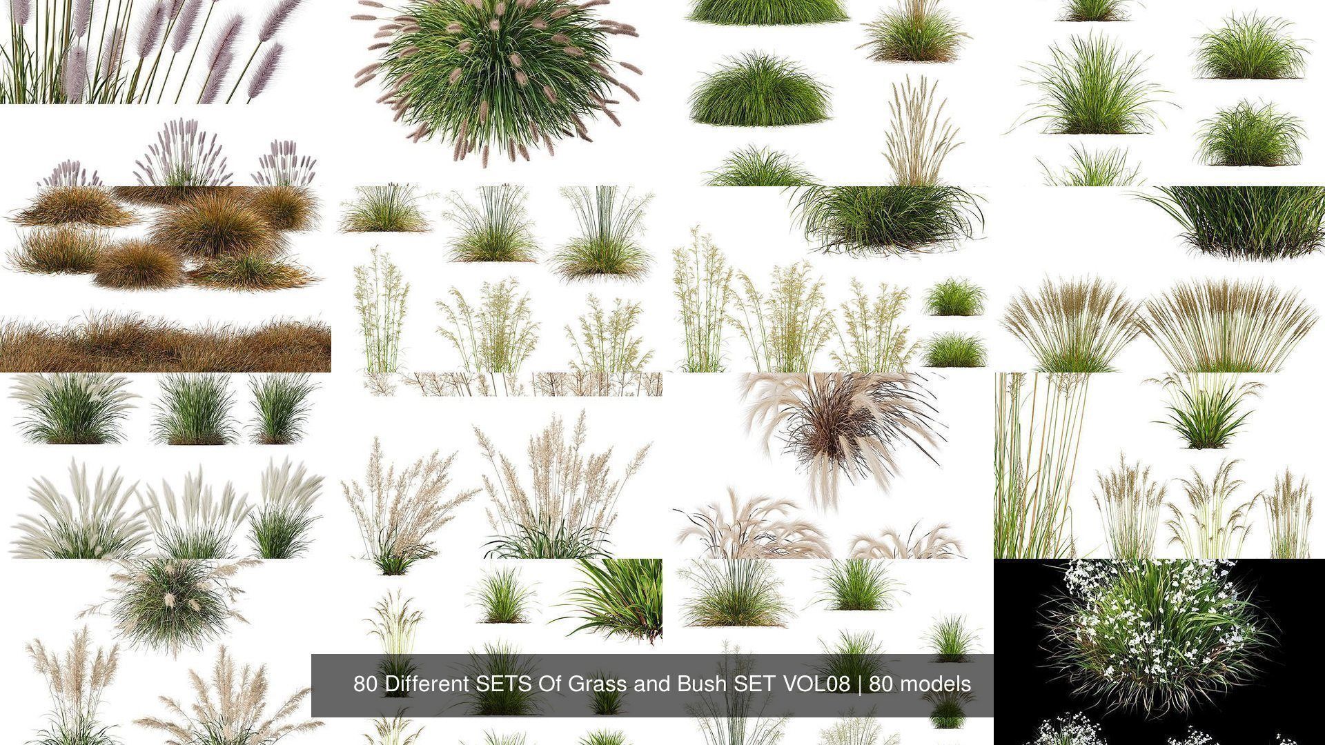 80 Different SETS Of Grass and Bush SET VOL08 3D Model Collection_9