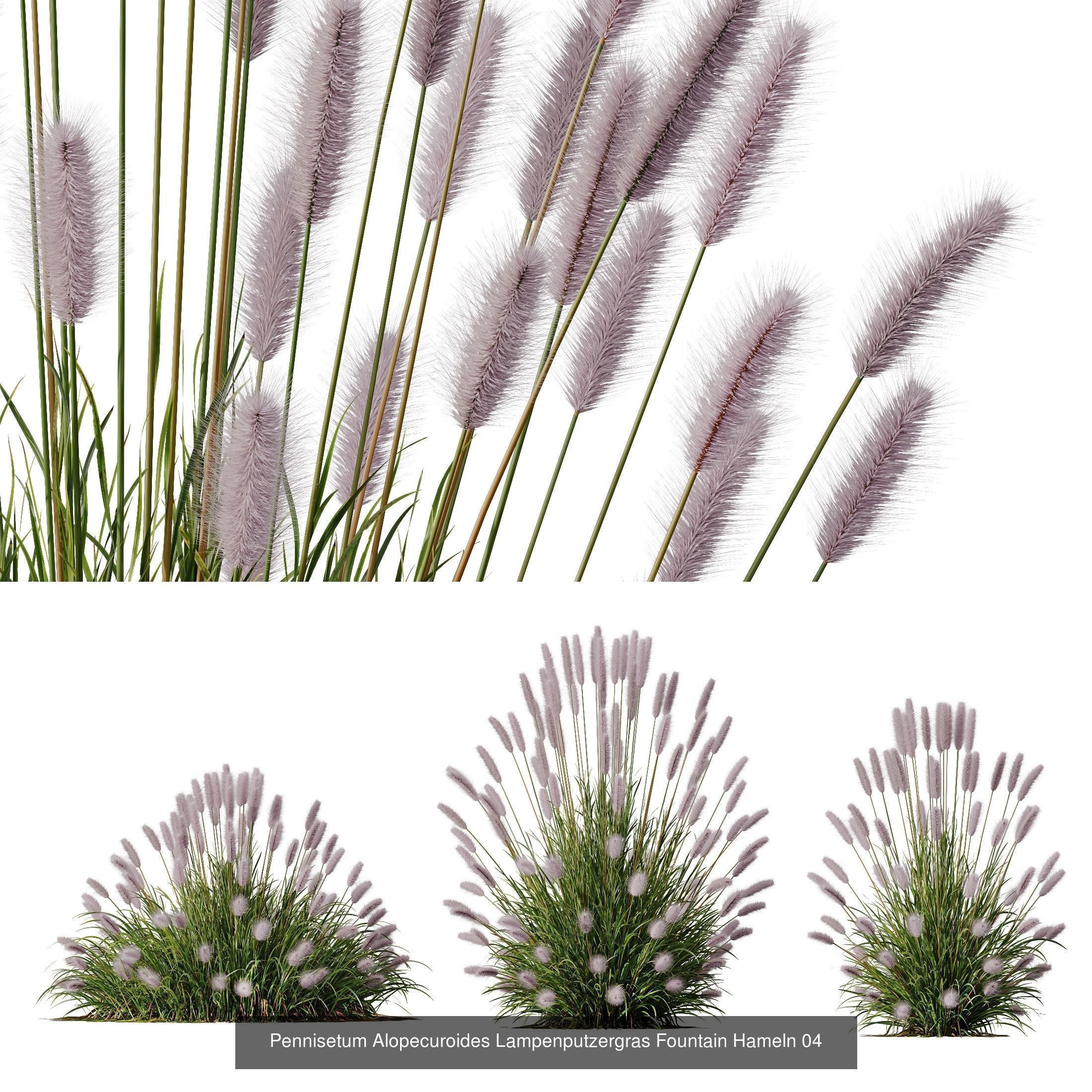 80 Different SETS Of Grass and Bush SET VOL08 3D Model Collection_138