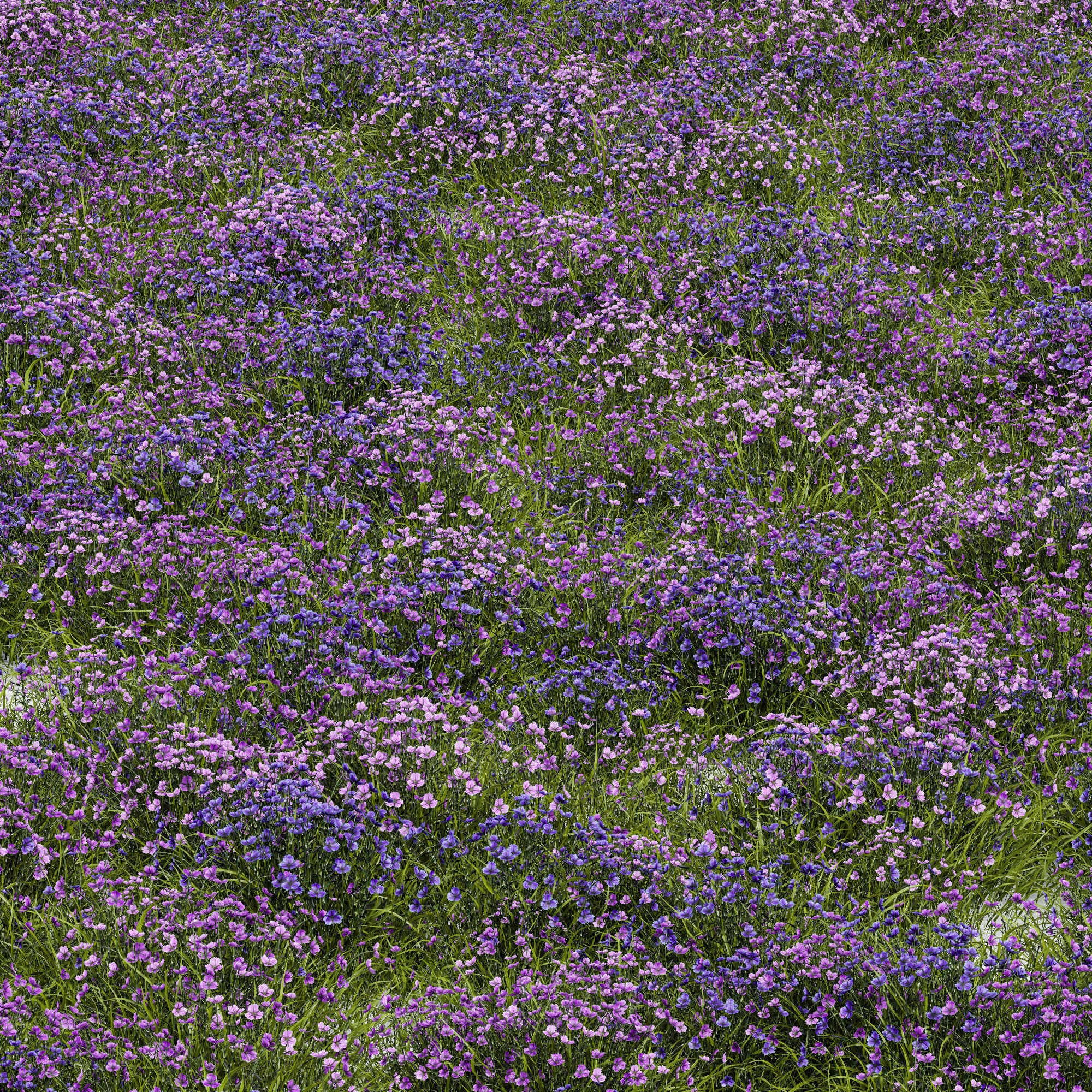 80 Different SETS Of Grass and Bush SET VOL08 3D Model Collection_213