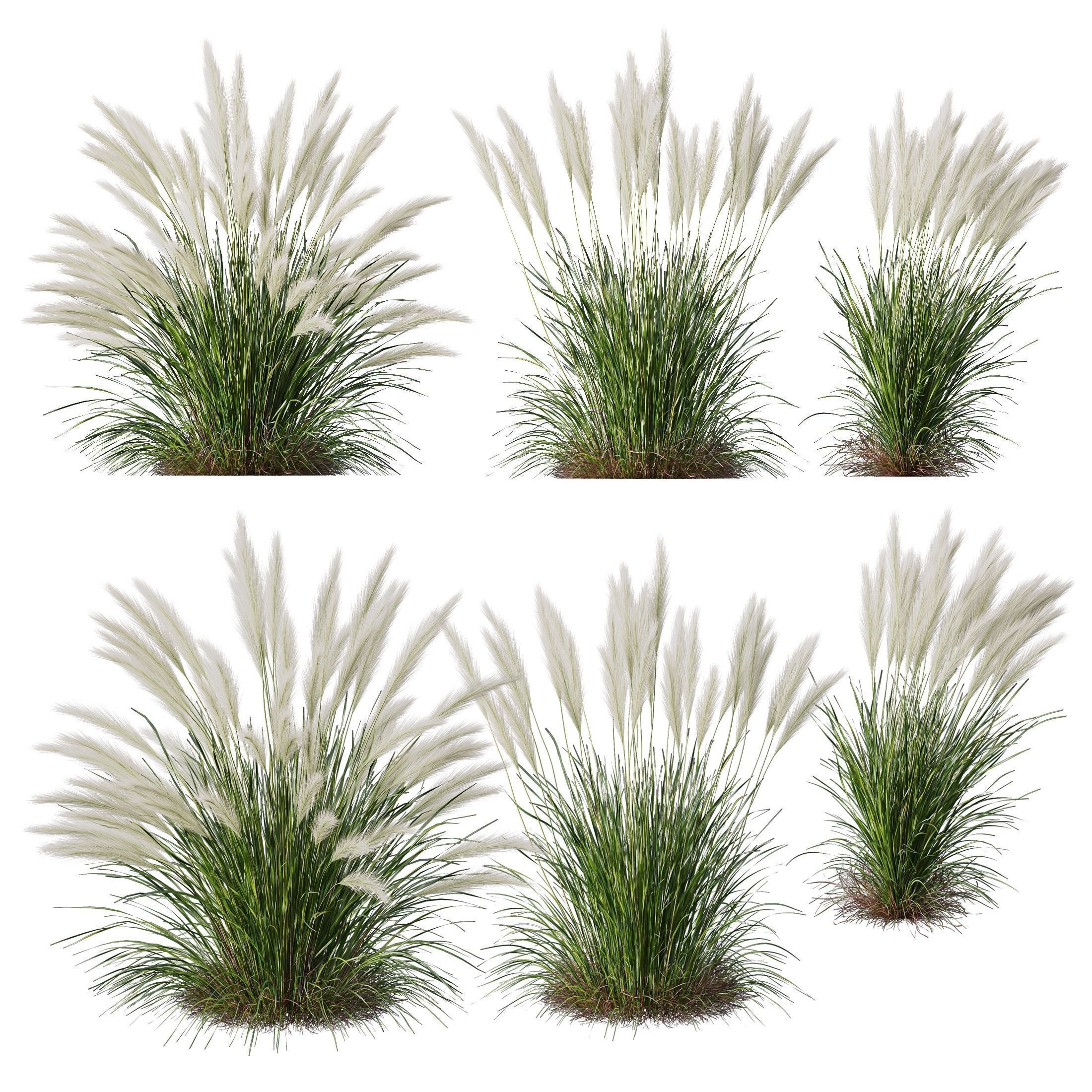80 Different SETS Of Grass and Bush SET VOL08 3D Model Collection_23