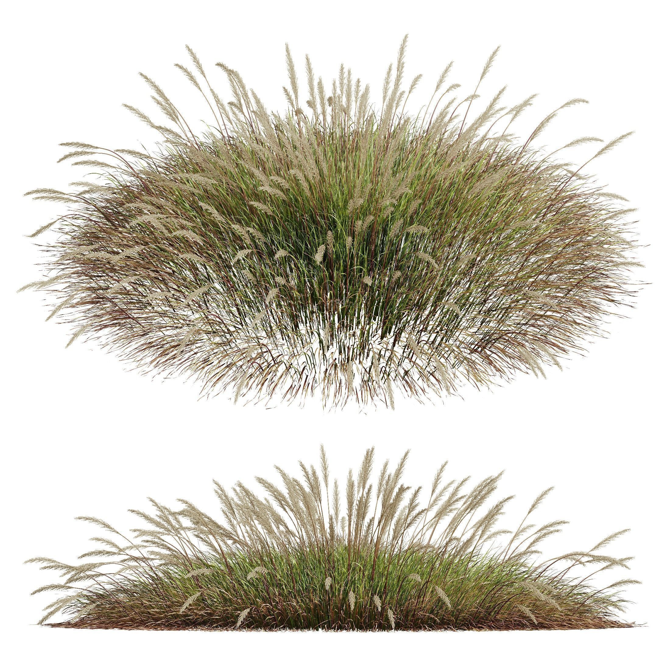 80 Different SETS Of Grass and Bush SET VOL08 3D Model Collection_117