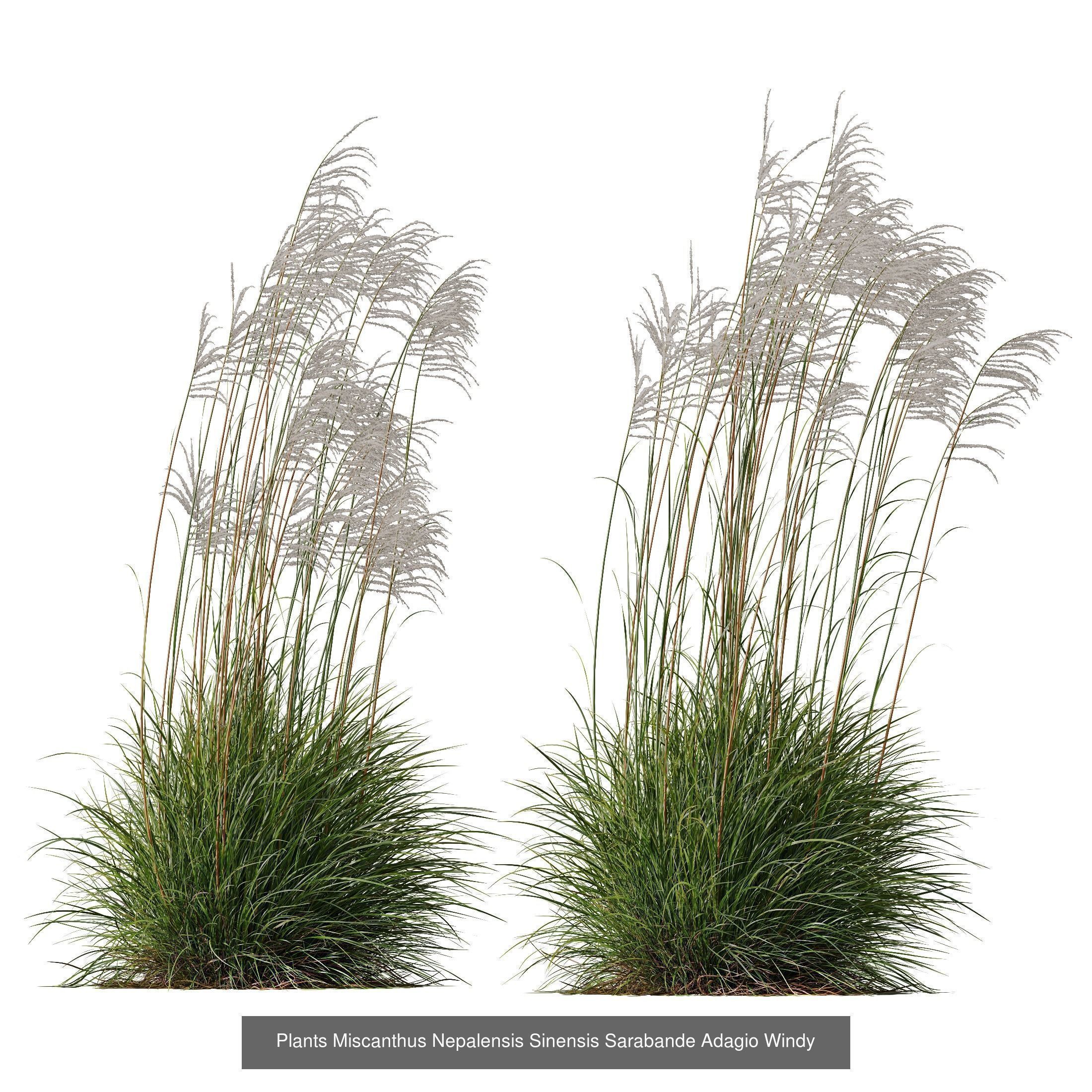 80 Different SETS Of Grass and Bush SET VOL08 3D Model Collection_124