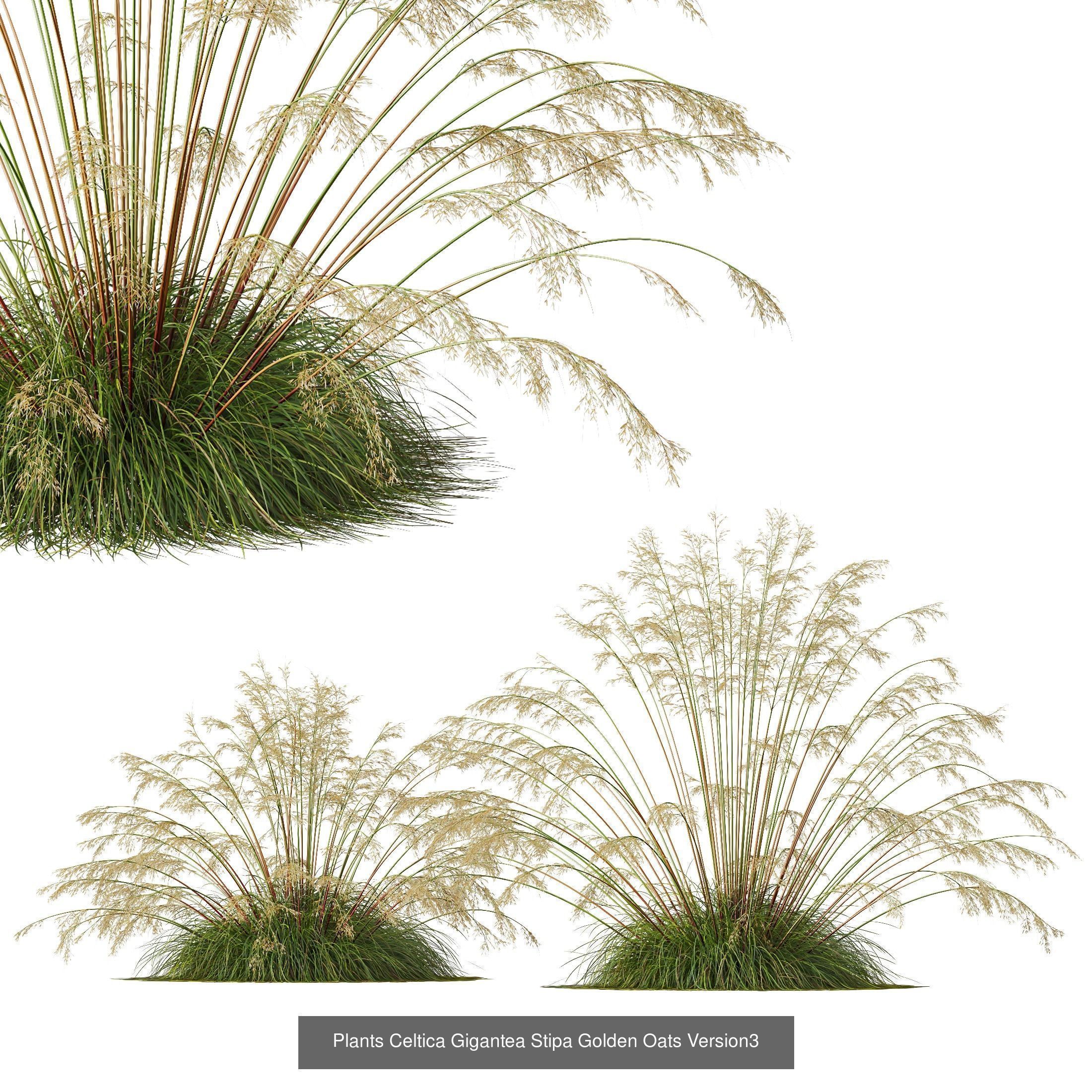 80 Different SETS Of Grass and Bush SET VOL08 3D Model Collection_76