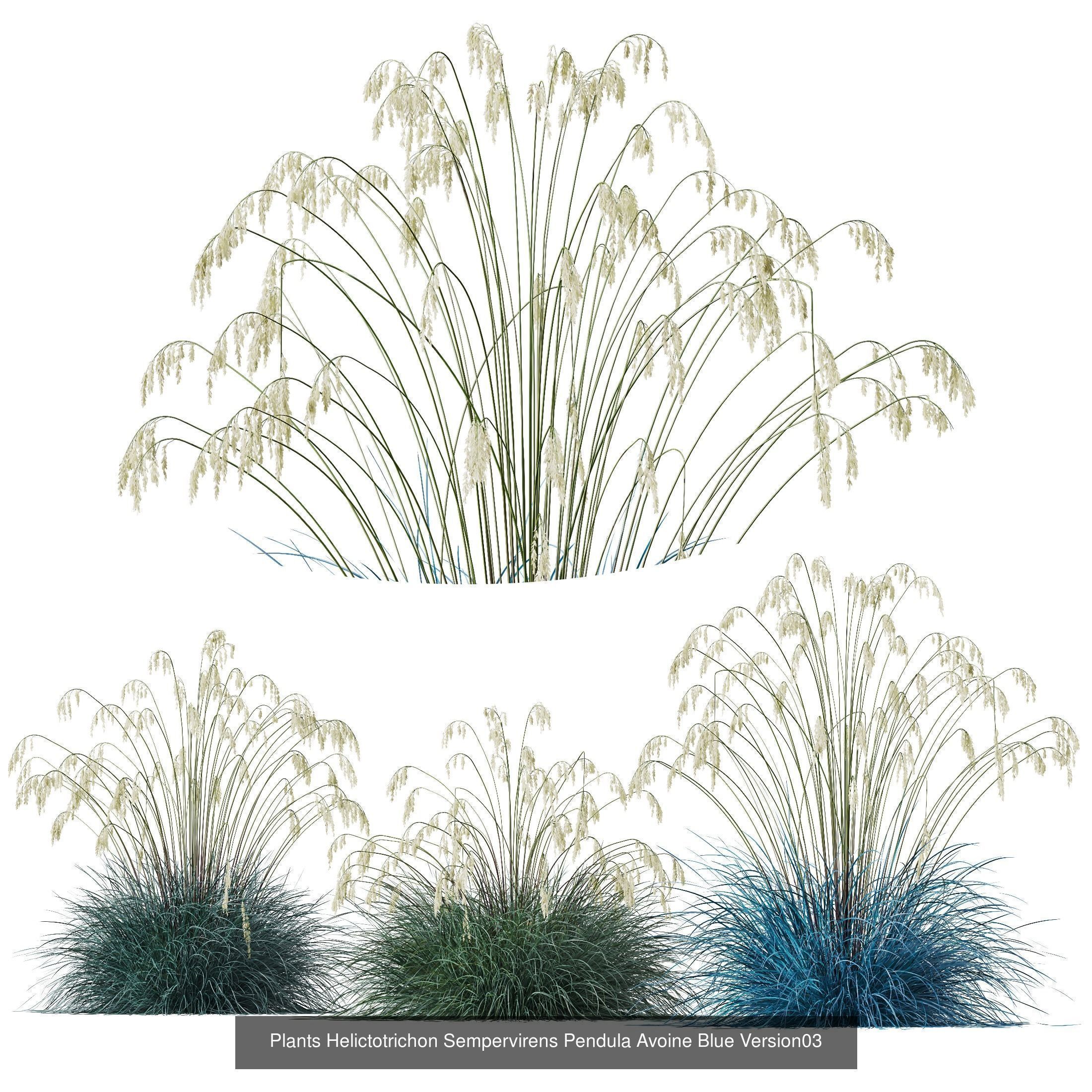 80 Different SETS Of Grass and Bush SET VOL08 3D Model Collection_70