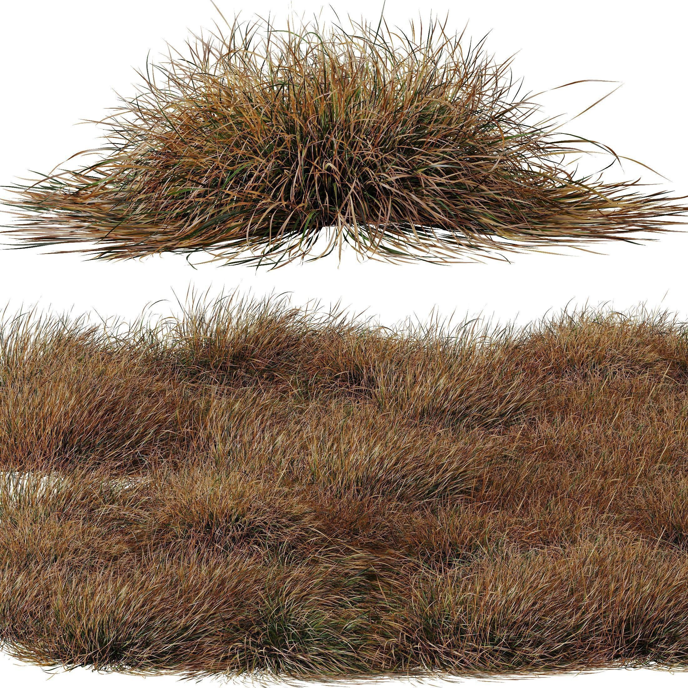 80 Different SETS Of Grass and Bush SET VOL08 3D Model Collection_264