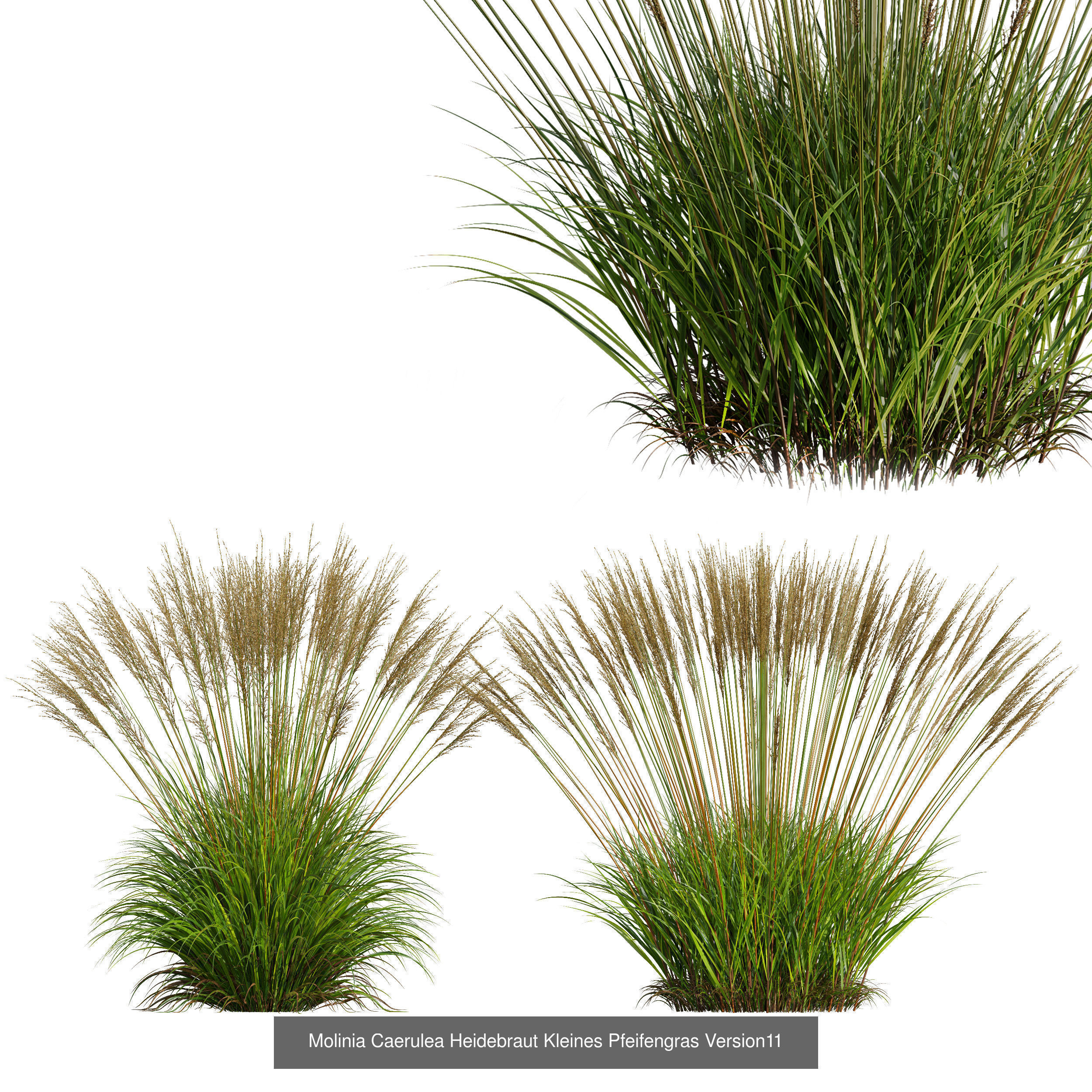 80 Different SETS Of Grass and Bush SET VOL08 3D Model Collection_152