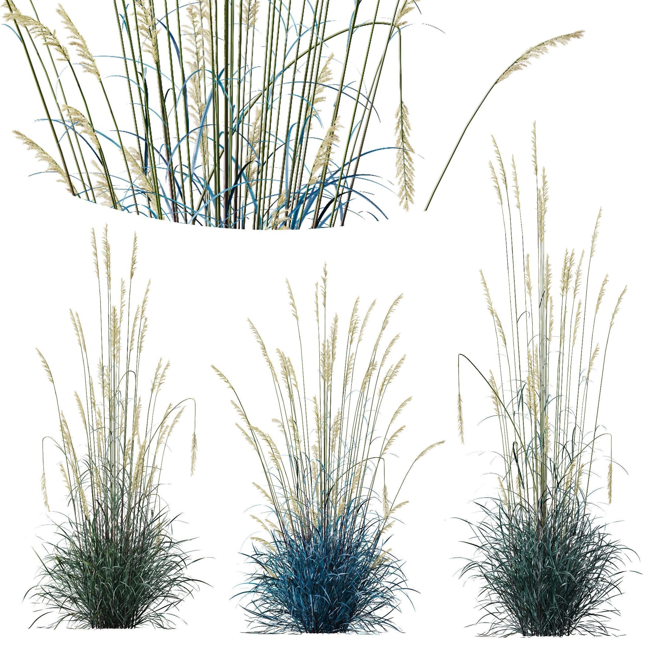 80 Different SETS Of Grass and Bush SET VOL08 3D Model Collection_21