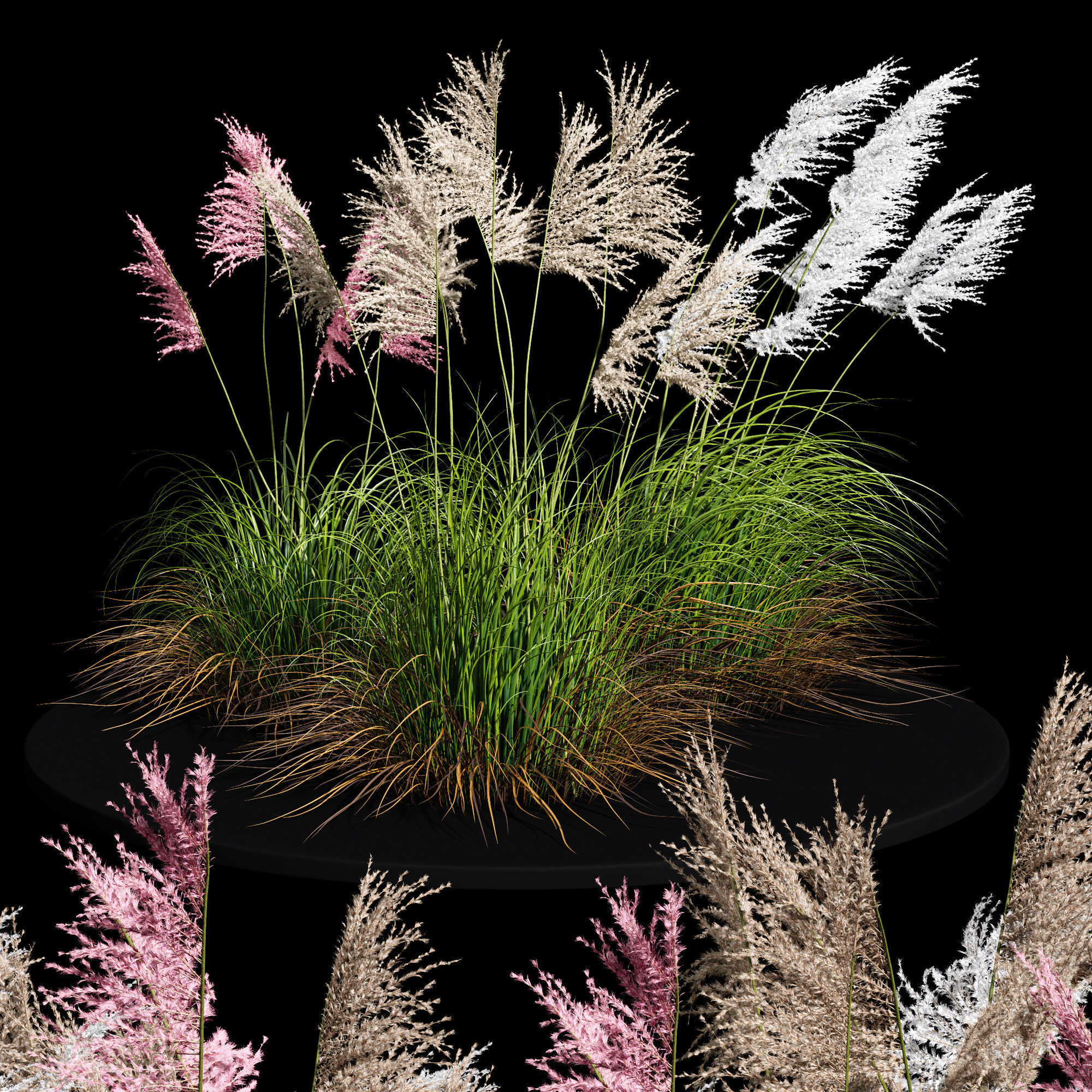 80 Different SETS Of Grass and Bush SET VOL08 3D Model Collection_91