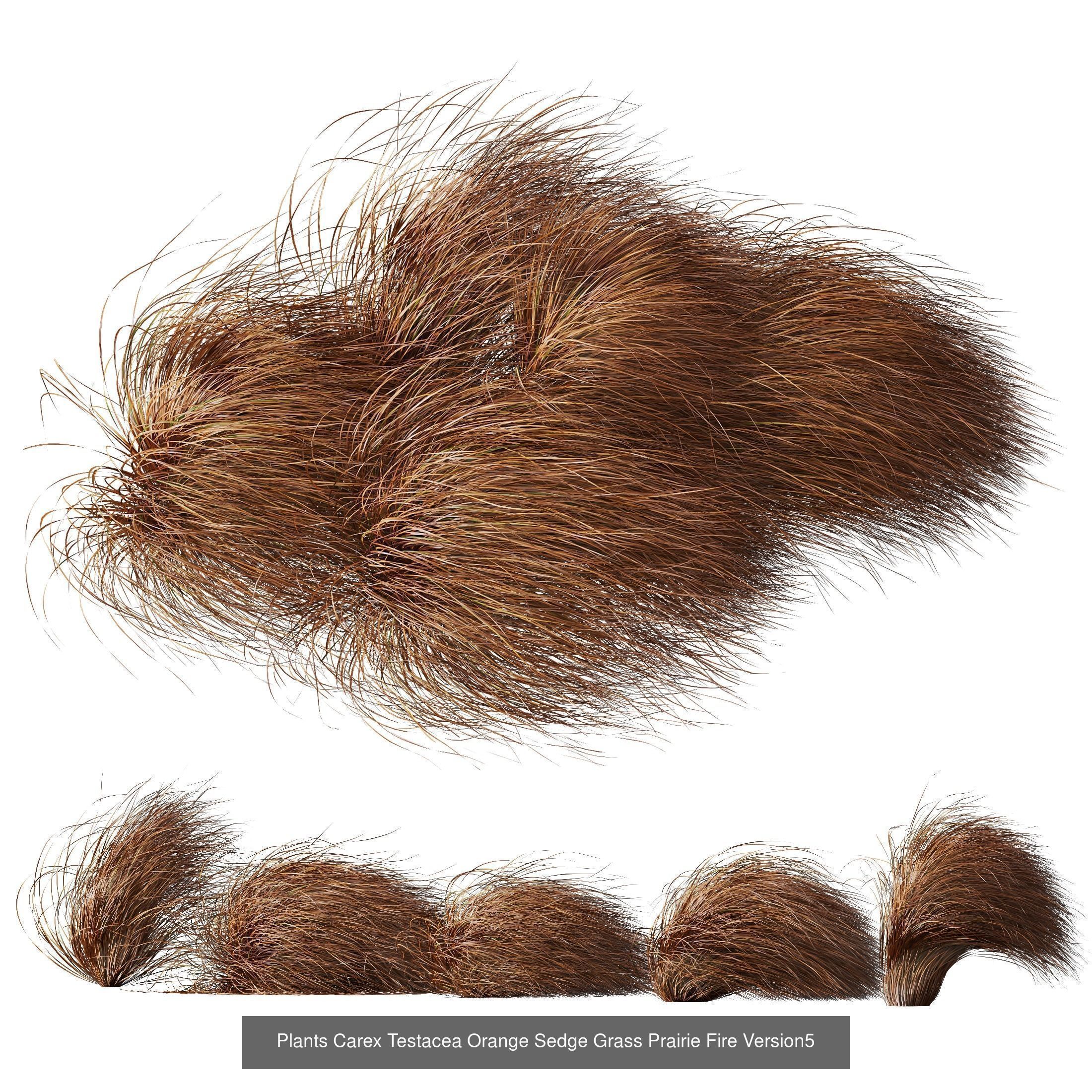 80 Different SETS Of Grass and Bush SET VOL08 3D Model Collection_62