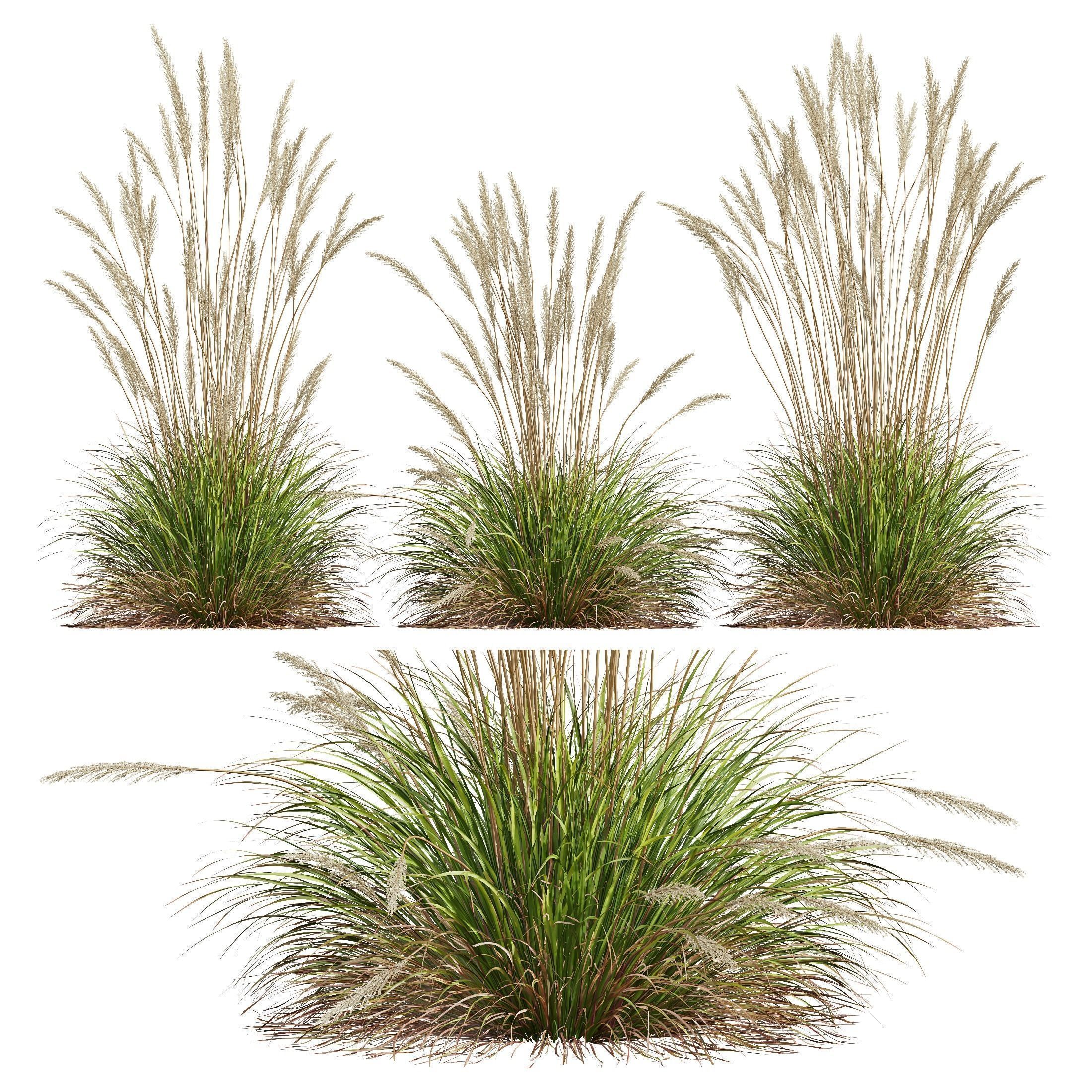 80 Different SETS Of Grass and Bush SET VOL08 3D Model Collection_85