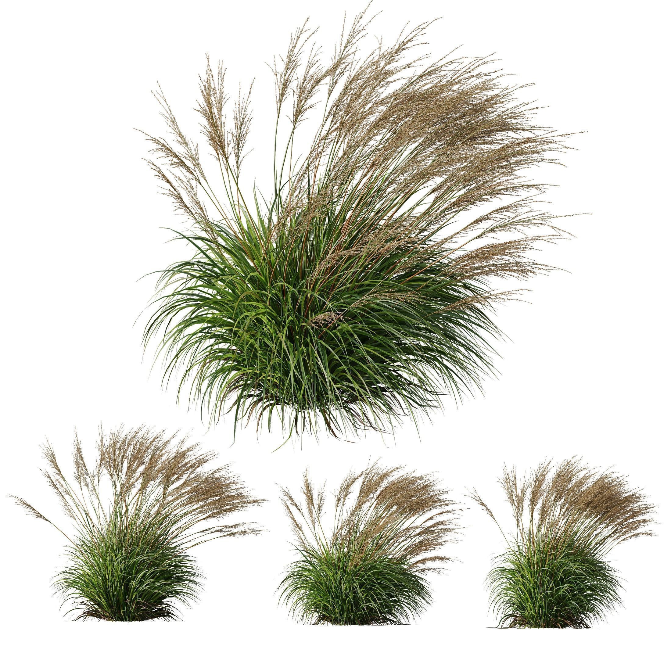 80 Different SETS Of Grass and Bush SET VOL08 3D Model Collection_49