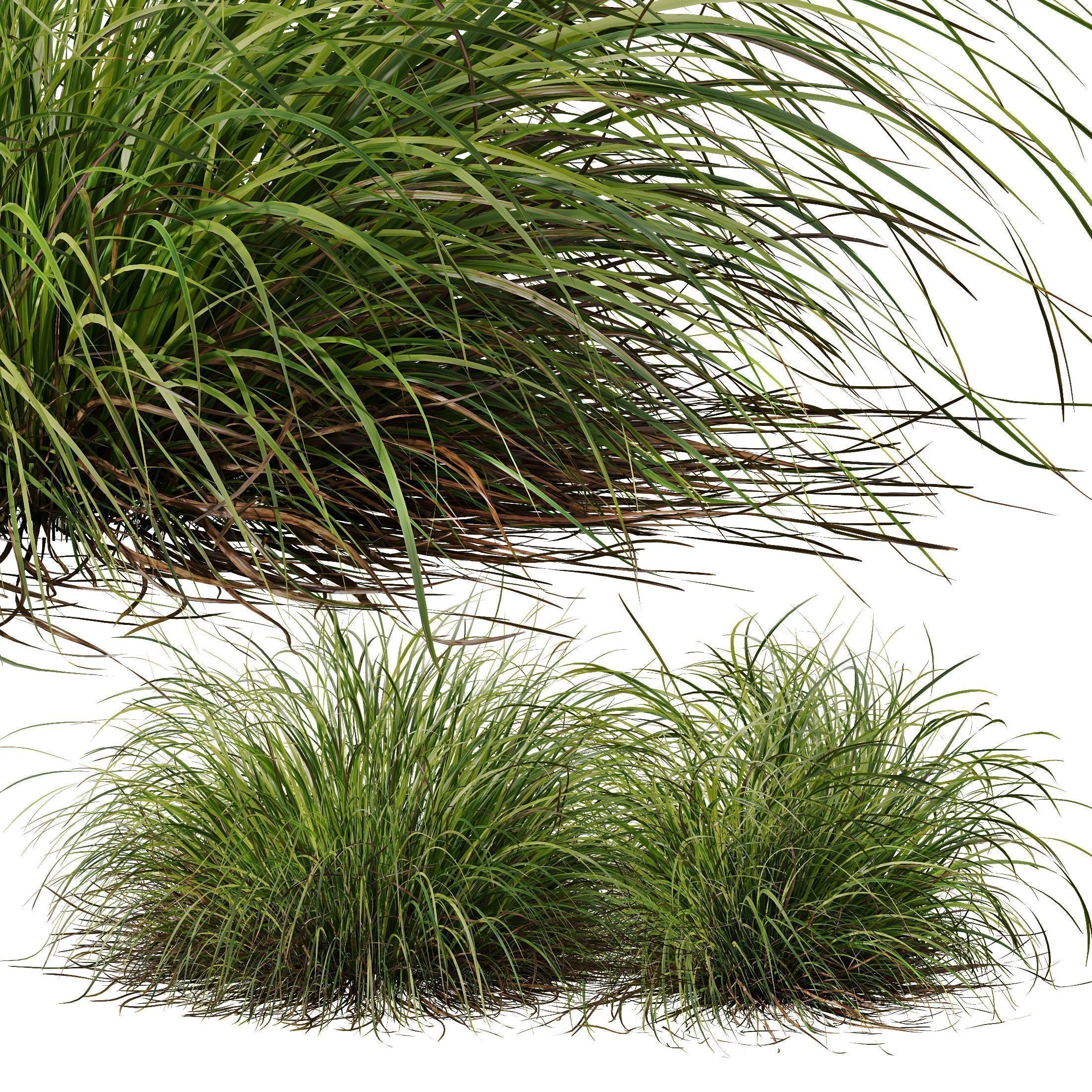 80 Different SETS Of Grass and Bush SET VOL08 3D Model Collection_194