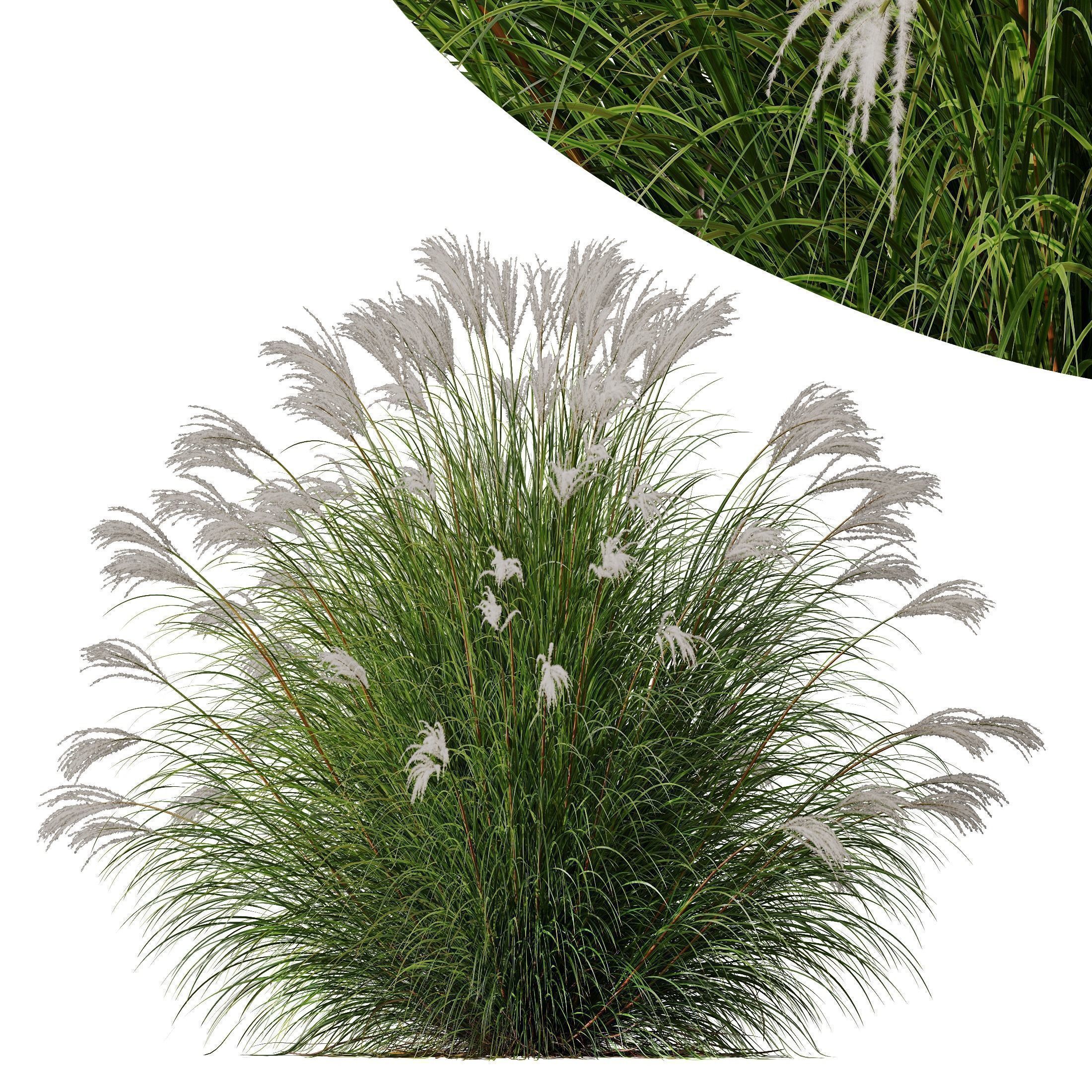 80 Different SETS Of Grass and Bush SET VOL08 3D Model Collection_247