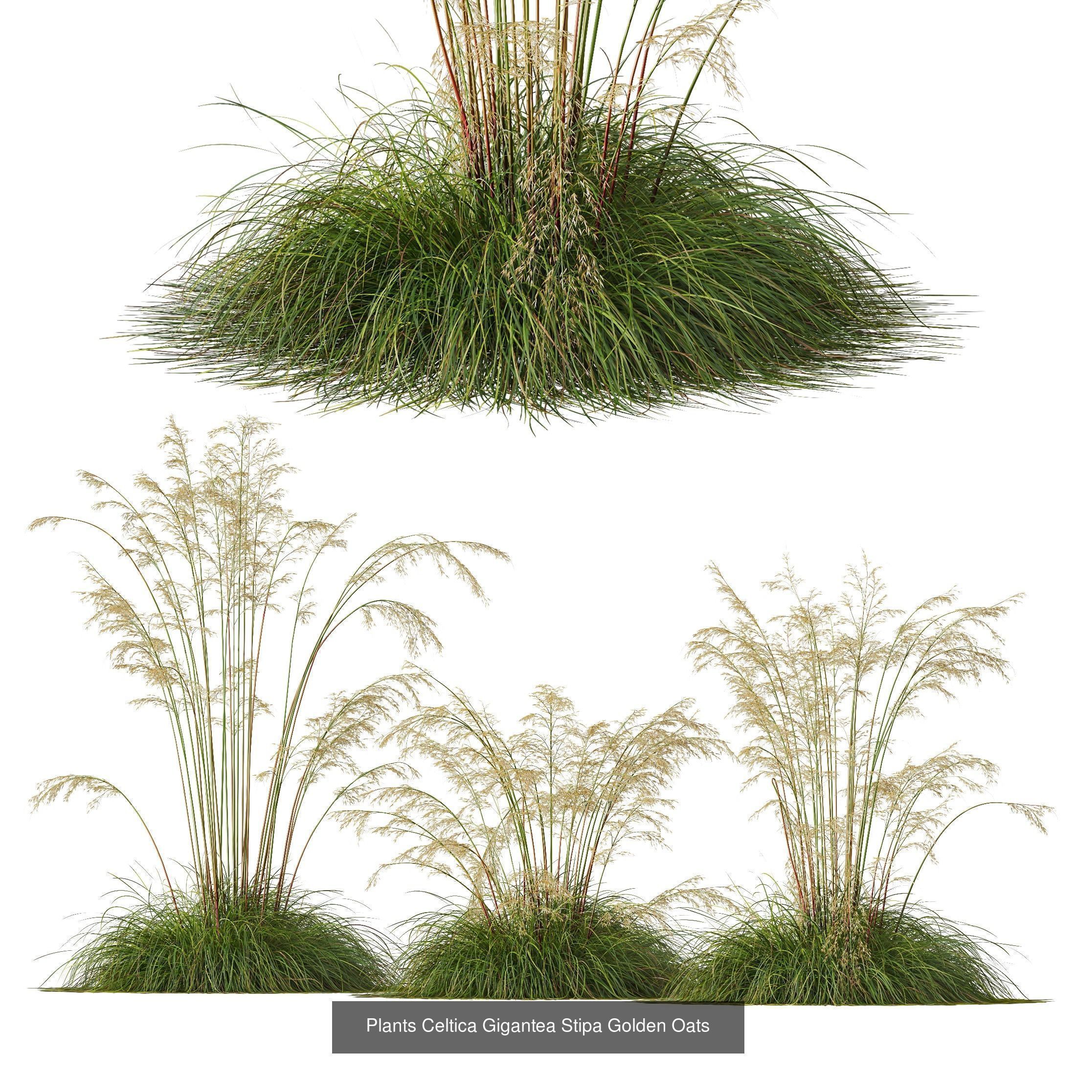 80 Different SETS Of Grass and Bush SET VOL08 3D Model Collection_66