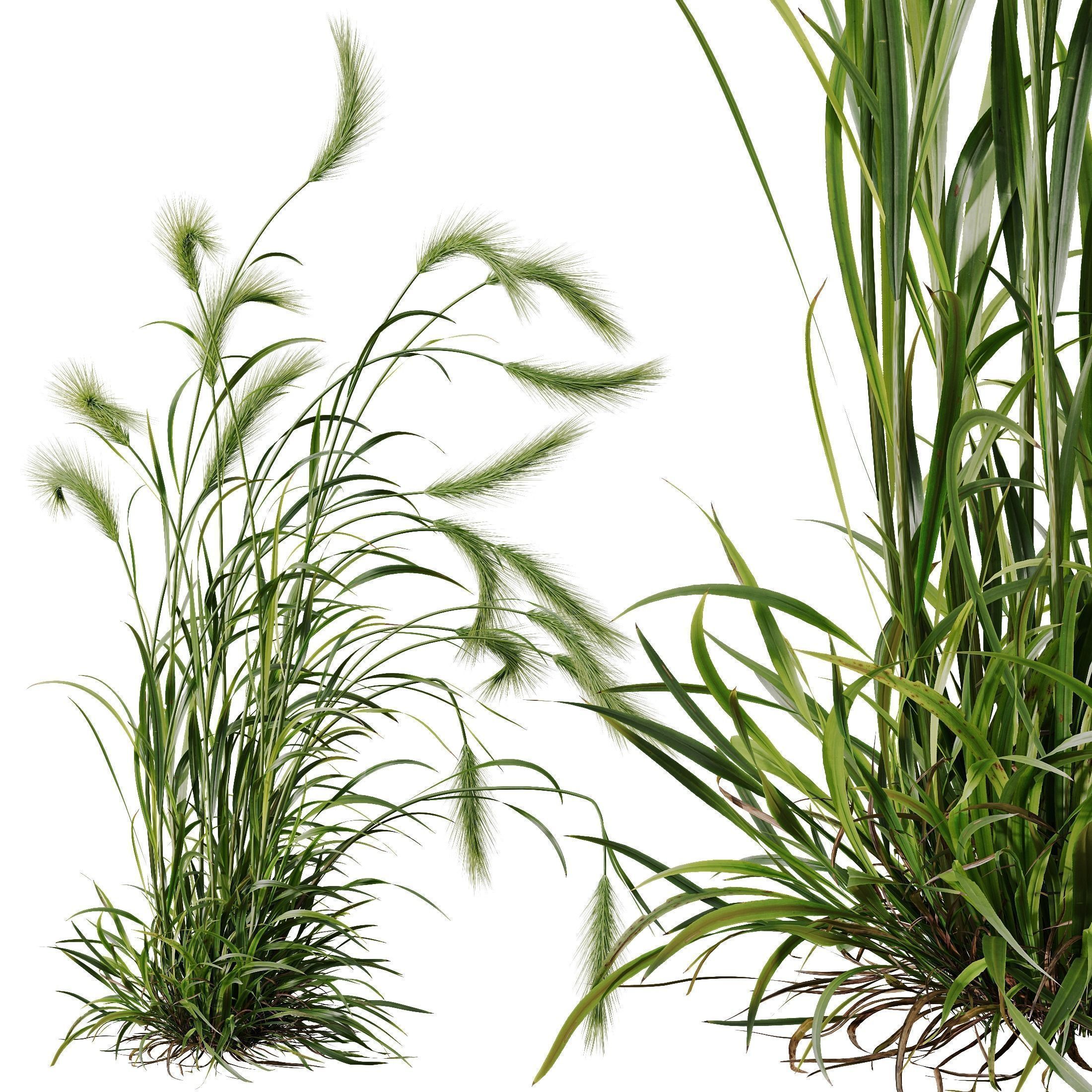 80 Different SETS Of Grass and Bush SET VOL08 3D Model Collection_222