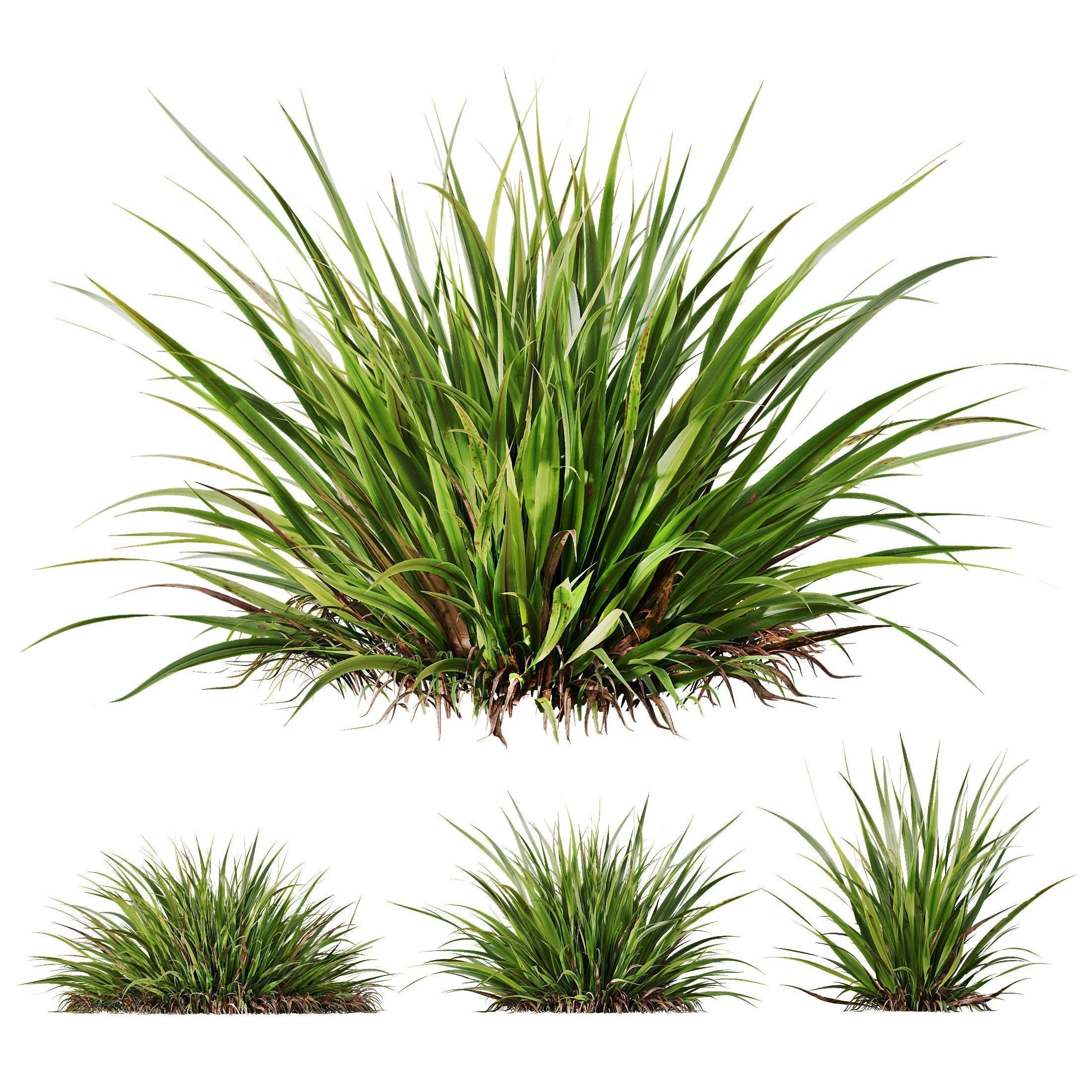 80 Different SETS Of Grass and Bush SET VOL08 3D Model Collection_155