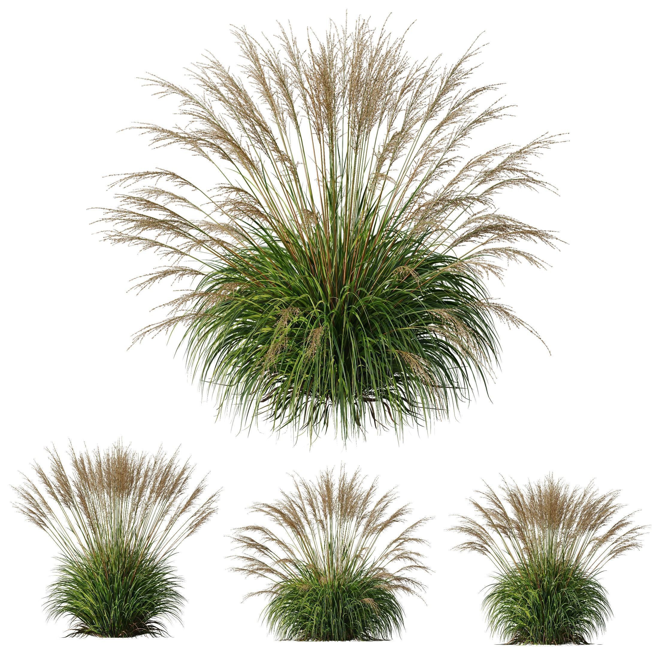 80 Different SETS Of Grass and Bush SET VOL08 3D Model Collection_161
